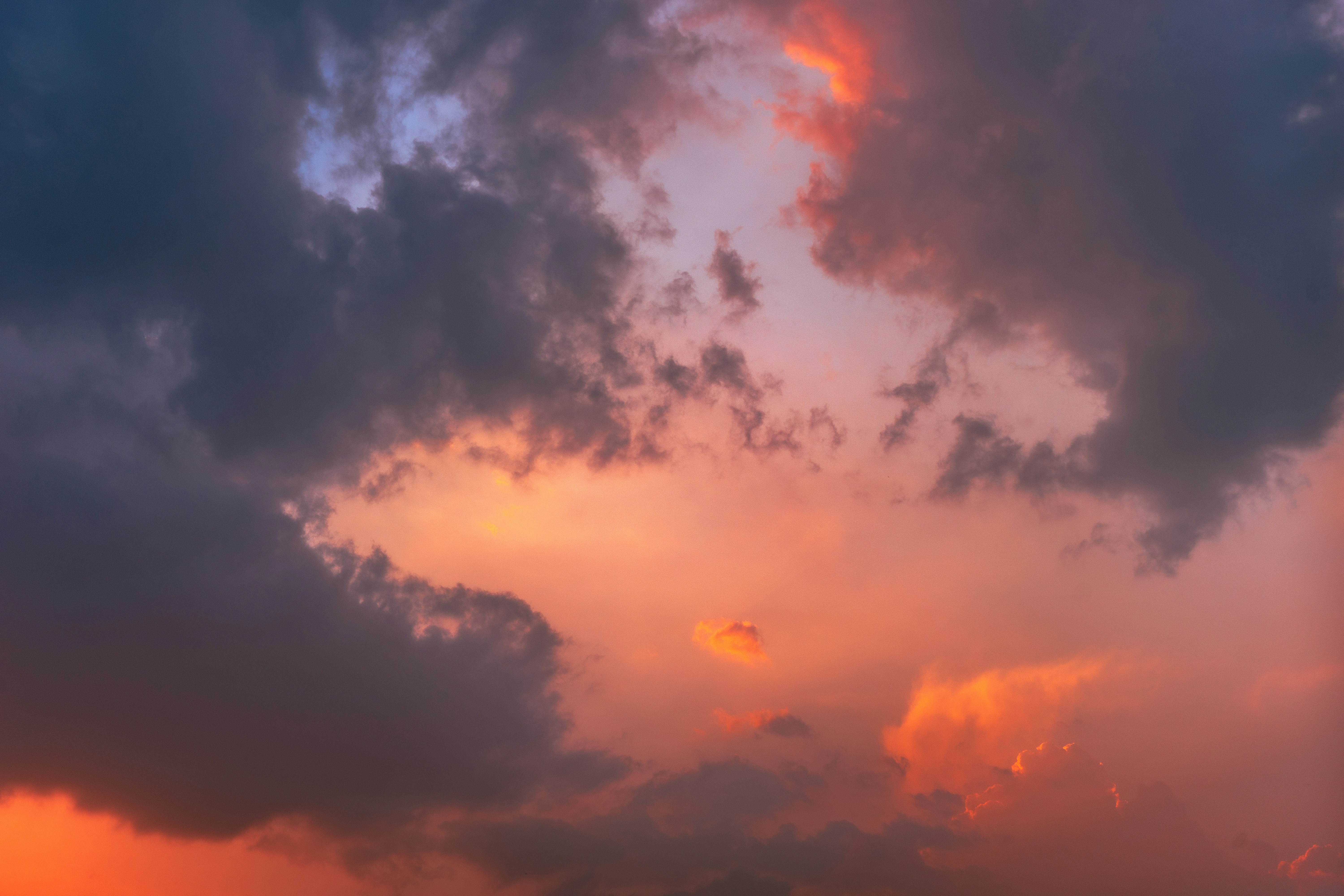 Italy Regulates the Internet, Tech CEO Threatens the Olympics