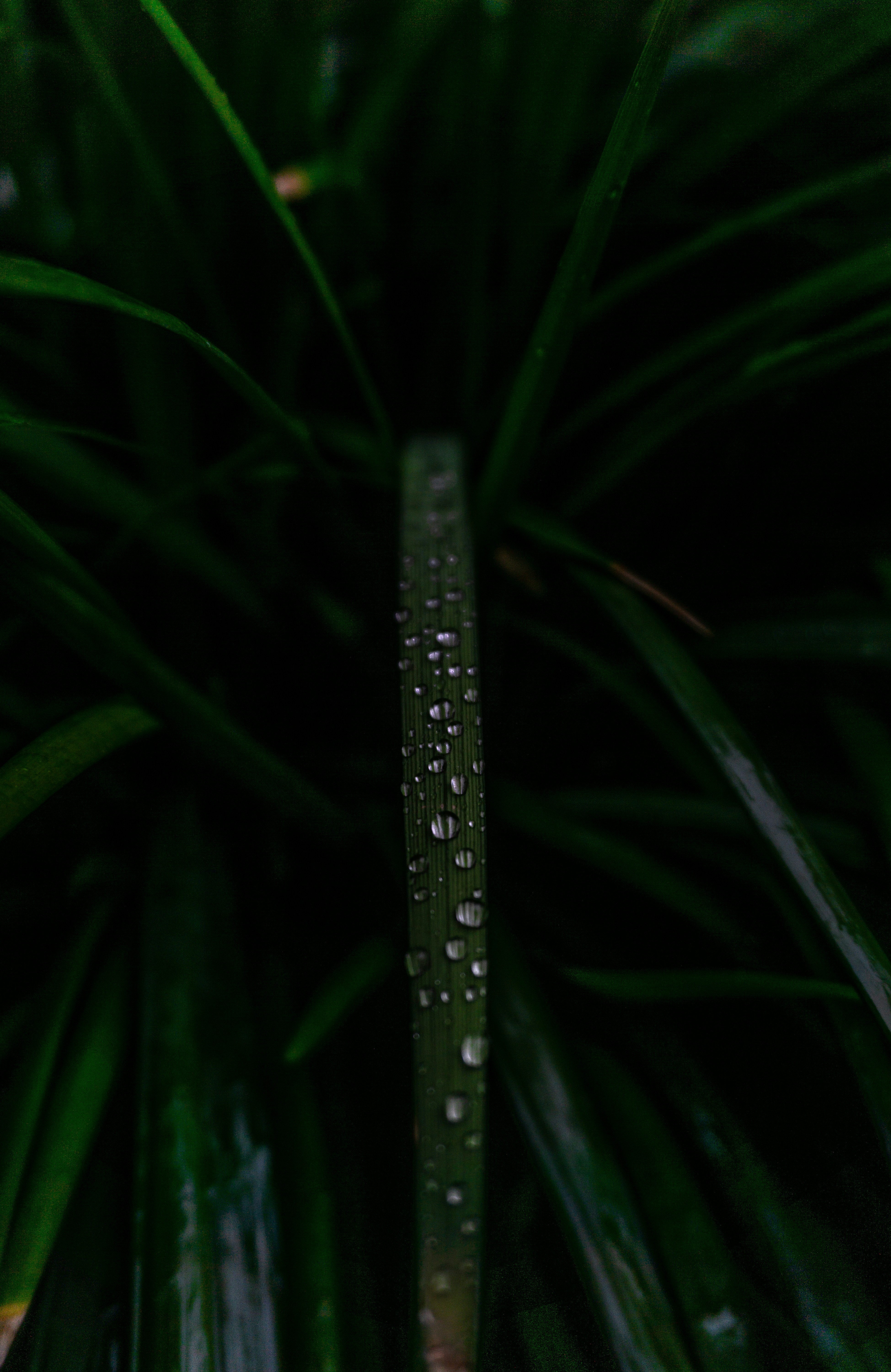 Photo by daniel_joshua_