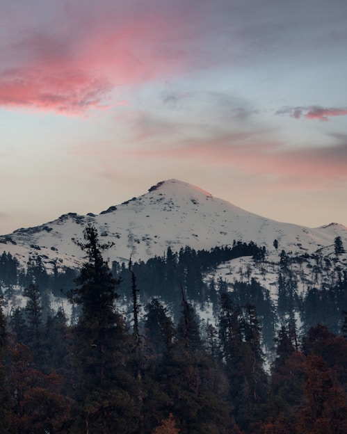 green pine trees near snow covered mountain during daytime