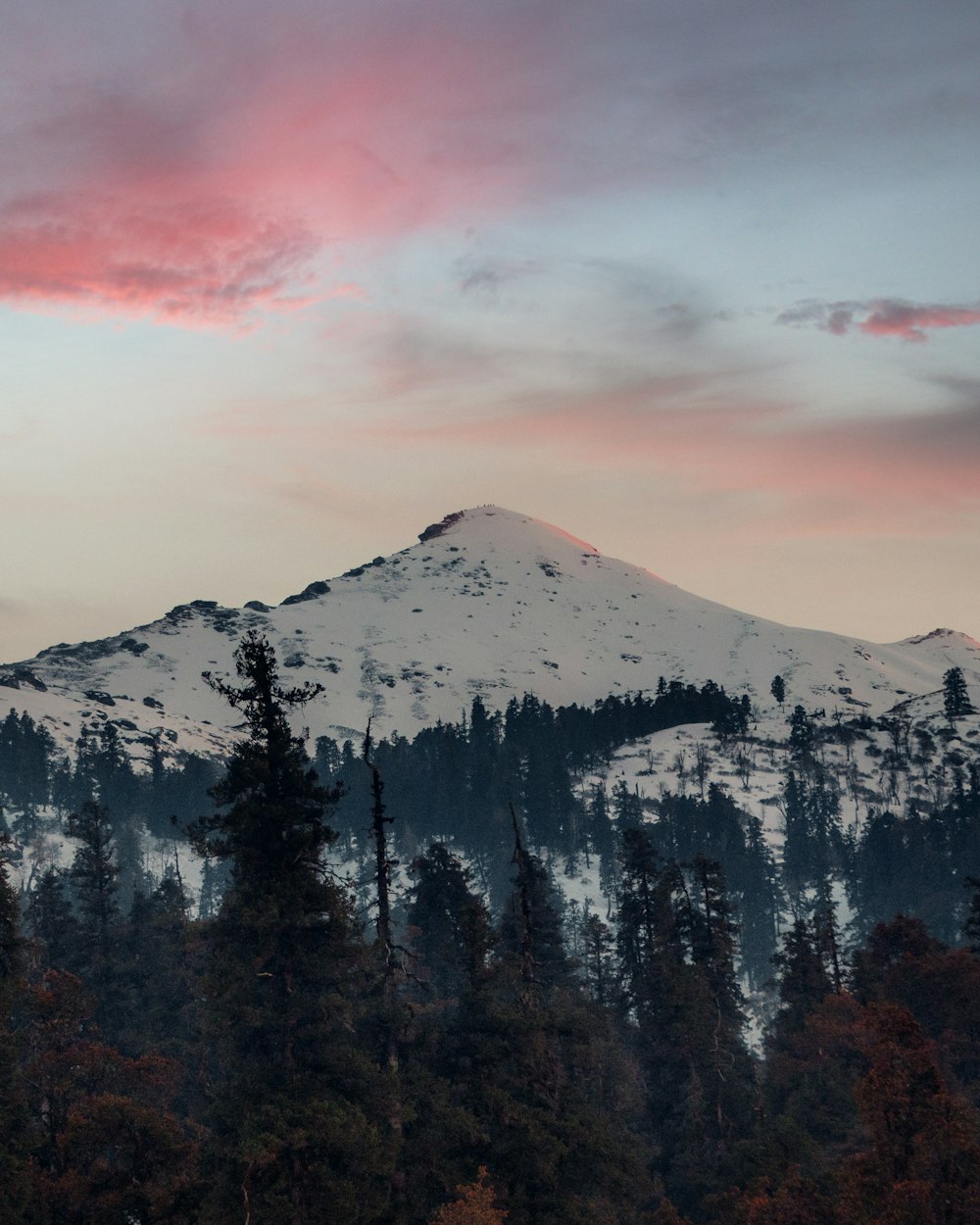 green pine trees near snow covered mountain during daytime