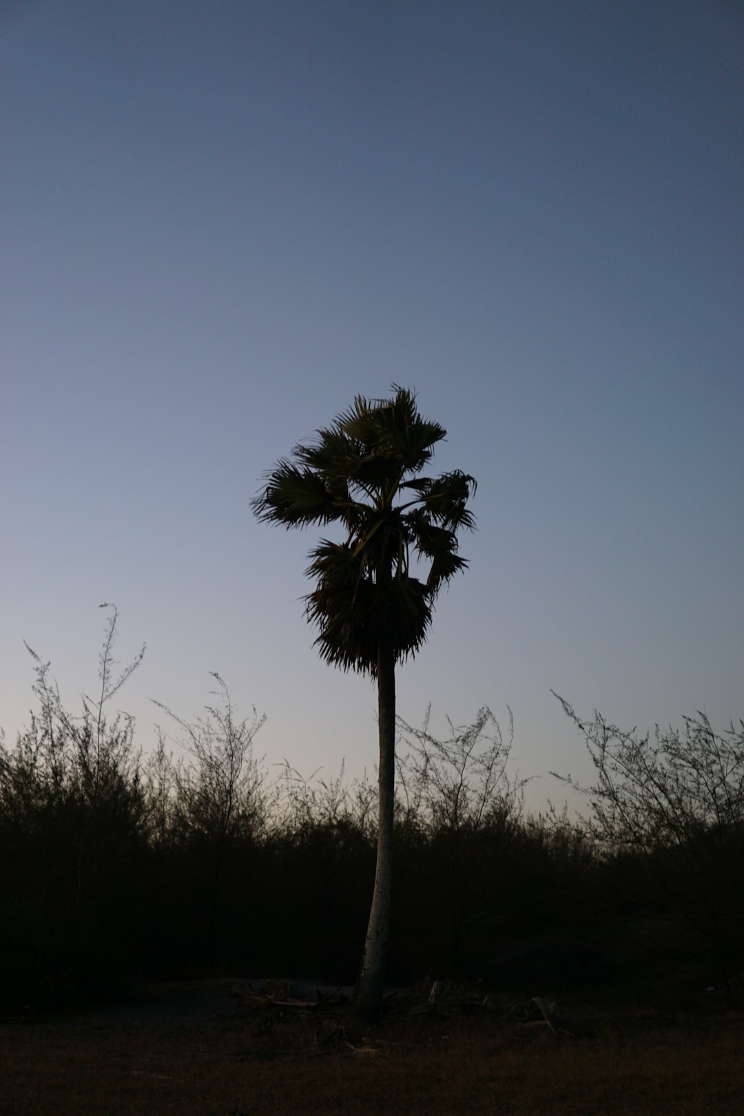 Natural landscape photo spot Yogyakarta Bantul