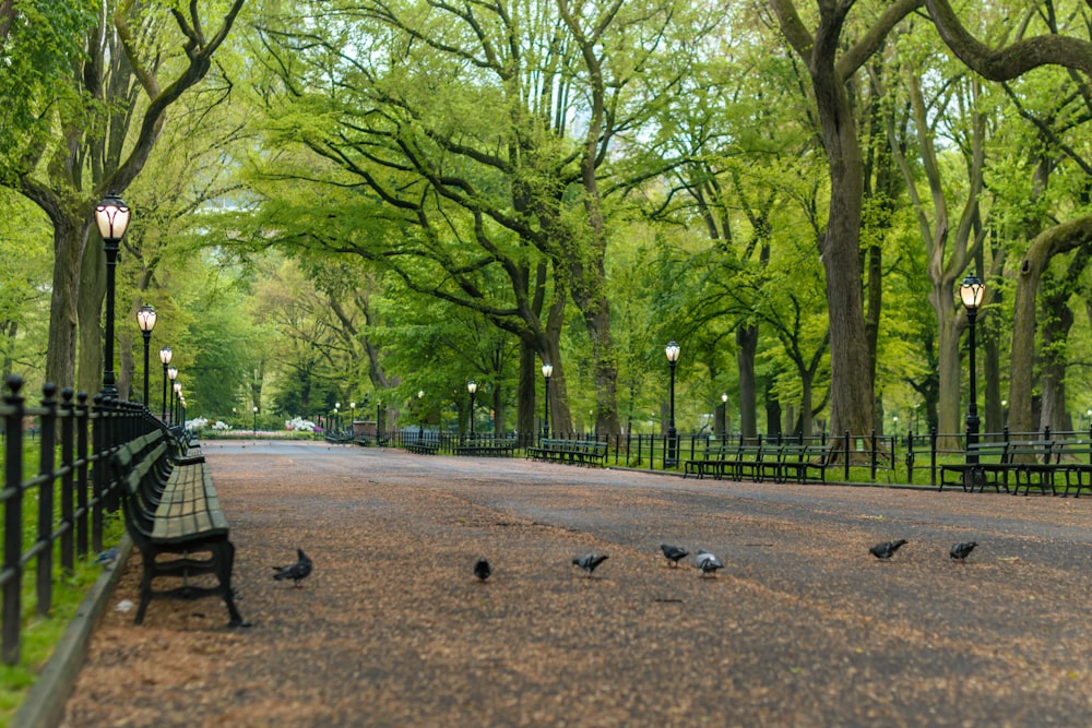 people sitting on bench near trees during daytime