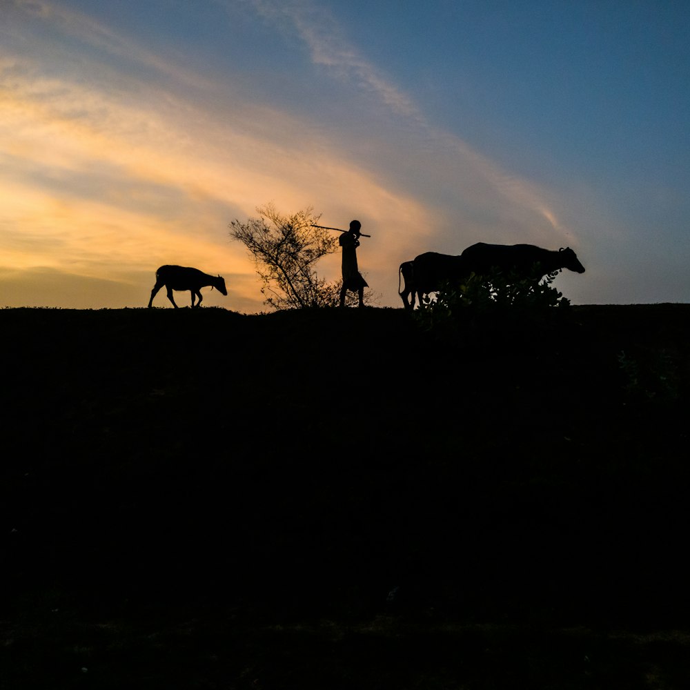 Silhouette von 2 Personen, die bei Sonnenuntergang auf dem Rasen stehen