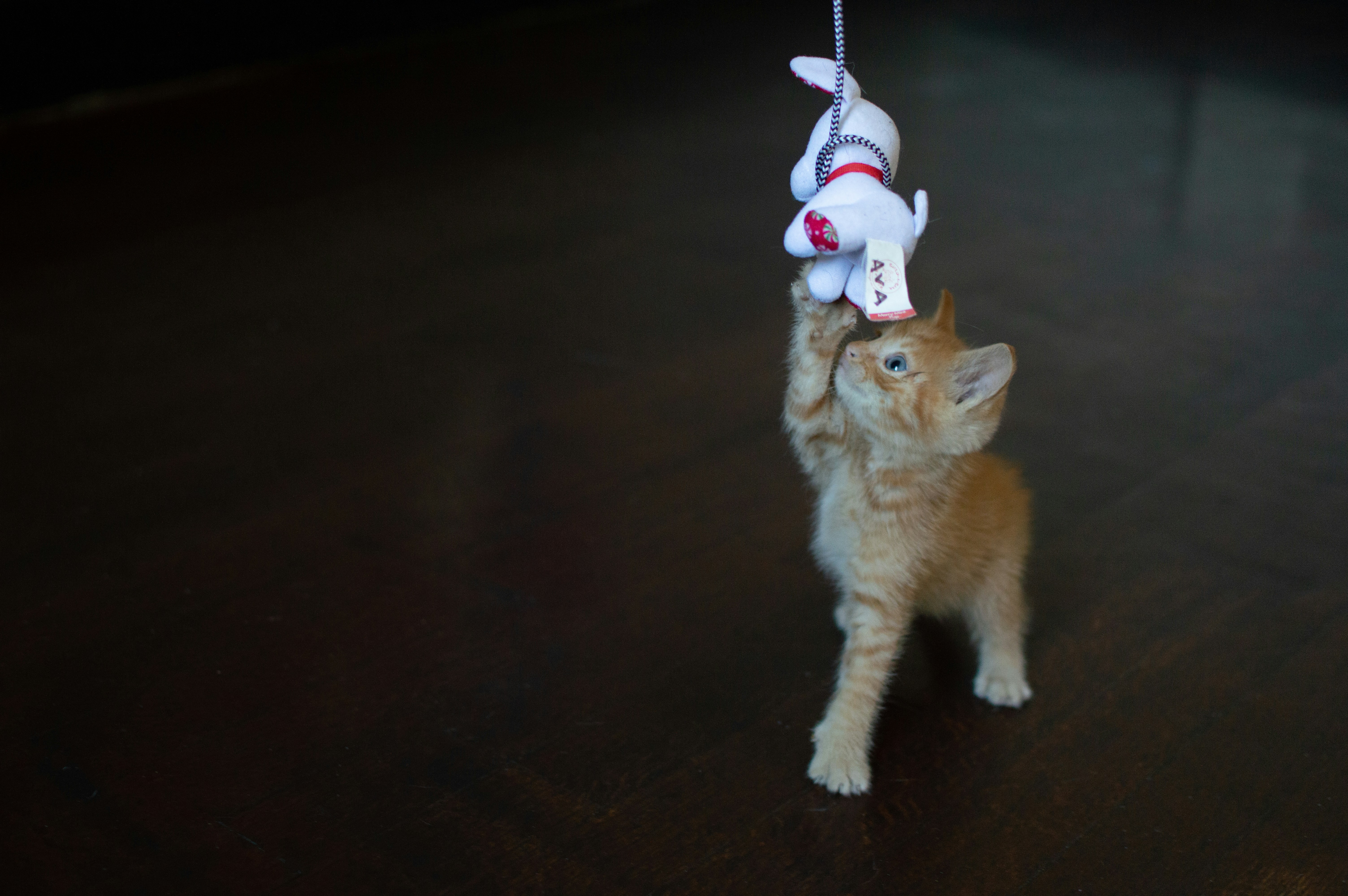 The Role of Playtime in Beating Boredom (image credits: unsplash)