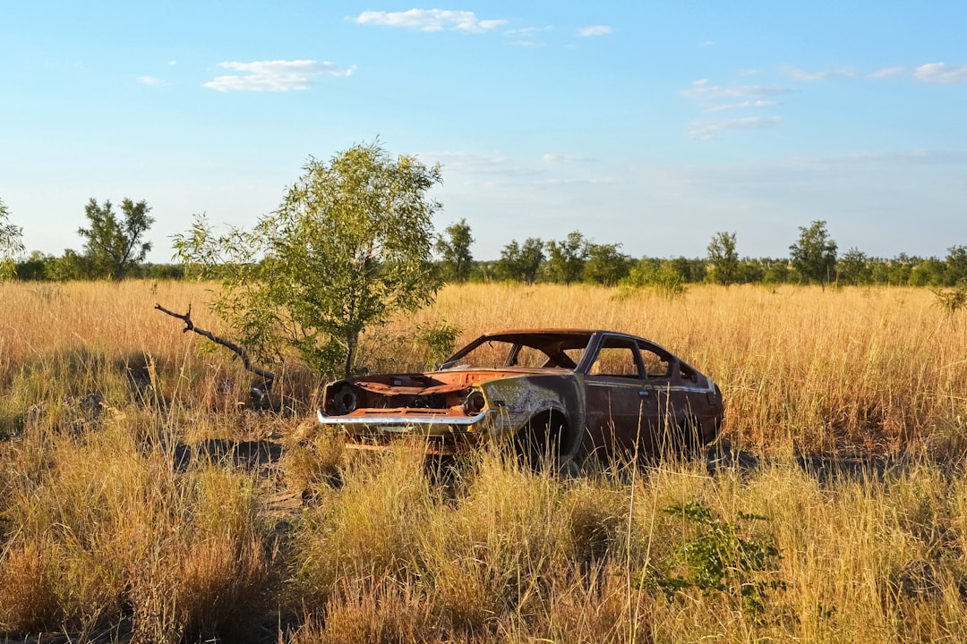 red and black vintage car on brown grass field during daytime