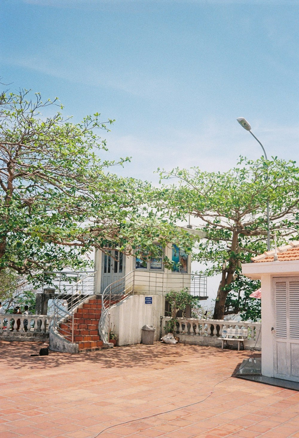 Árbol verde cerca de la valla de madera blanca