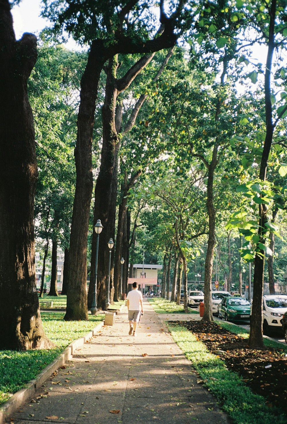 man in white t-shirt and black pants walking on pathway between trees during daytime
