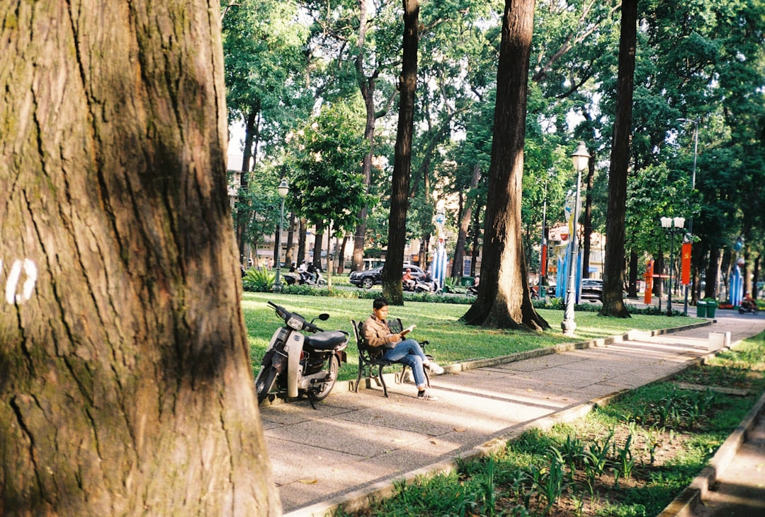 people sitting on bench under tree during daytime