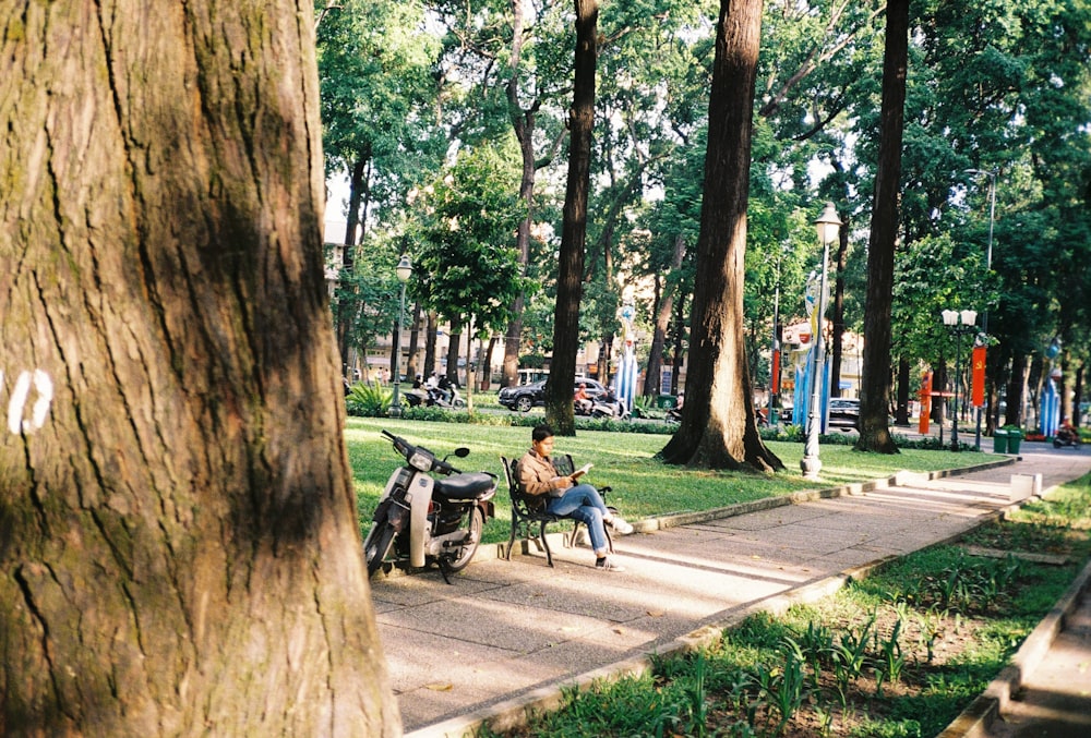 people sitting on bench under tree during daytime