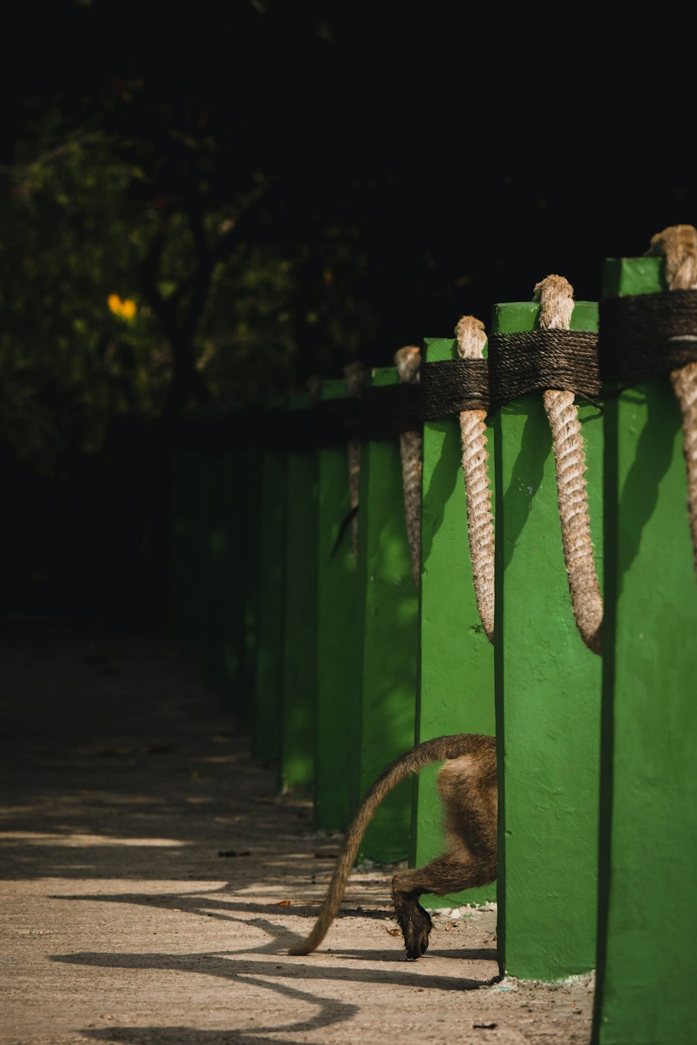 green wooden fence with green rope