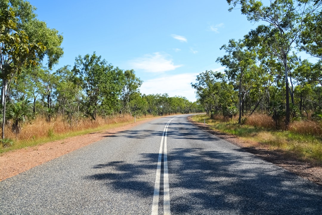 gray concrete road between green trees under blue sky during daytime