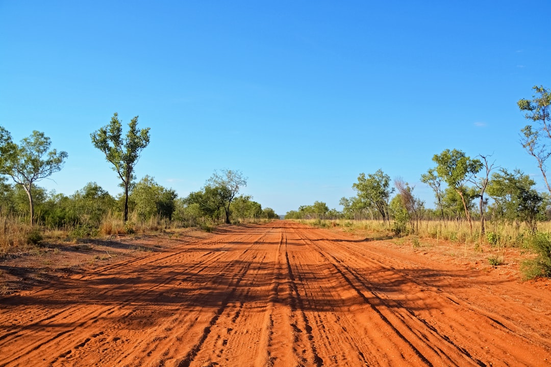 brown dirt road between green trees under blue sky during daytime