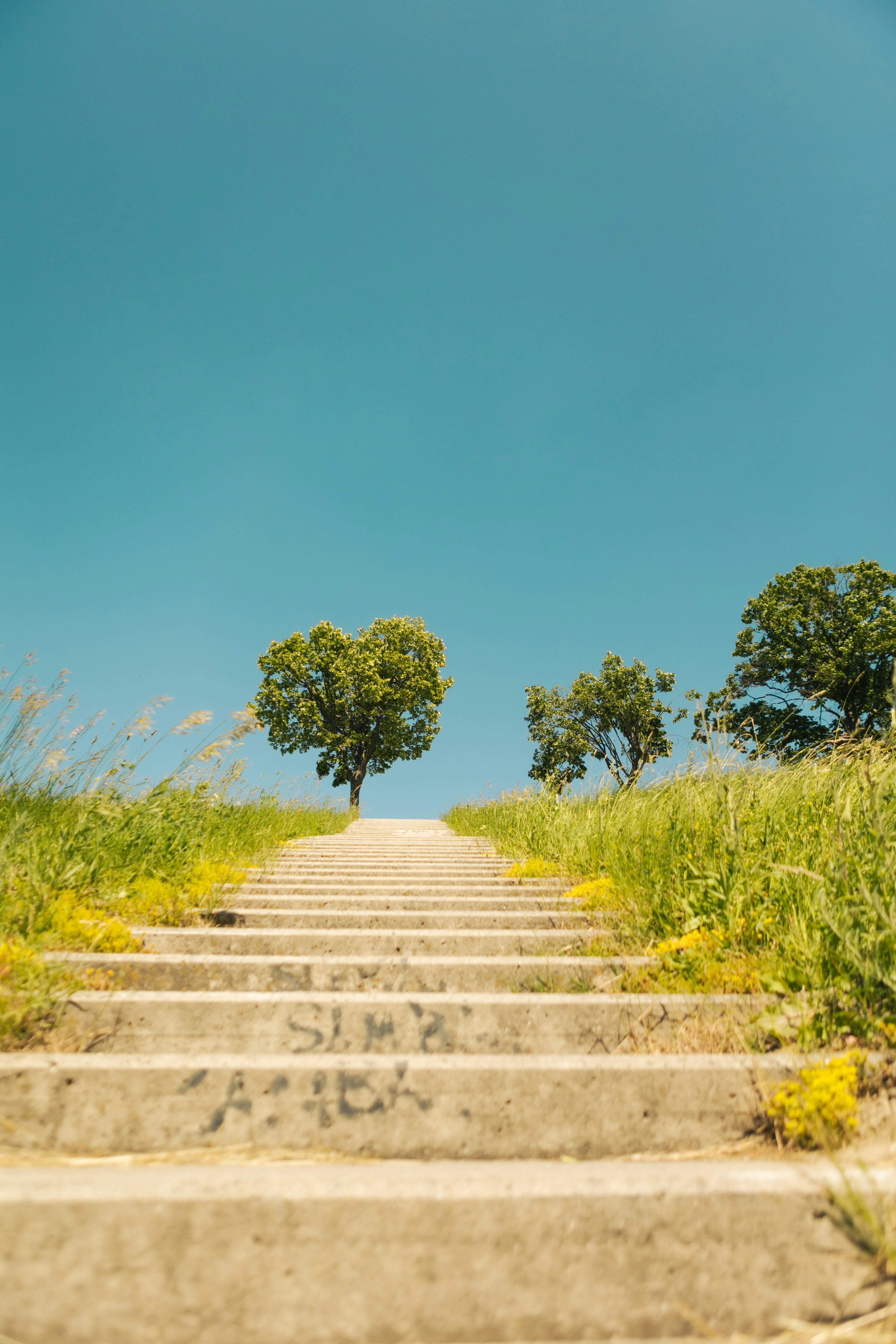 Photo by alex_gruber