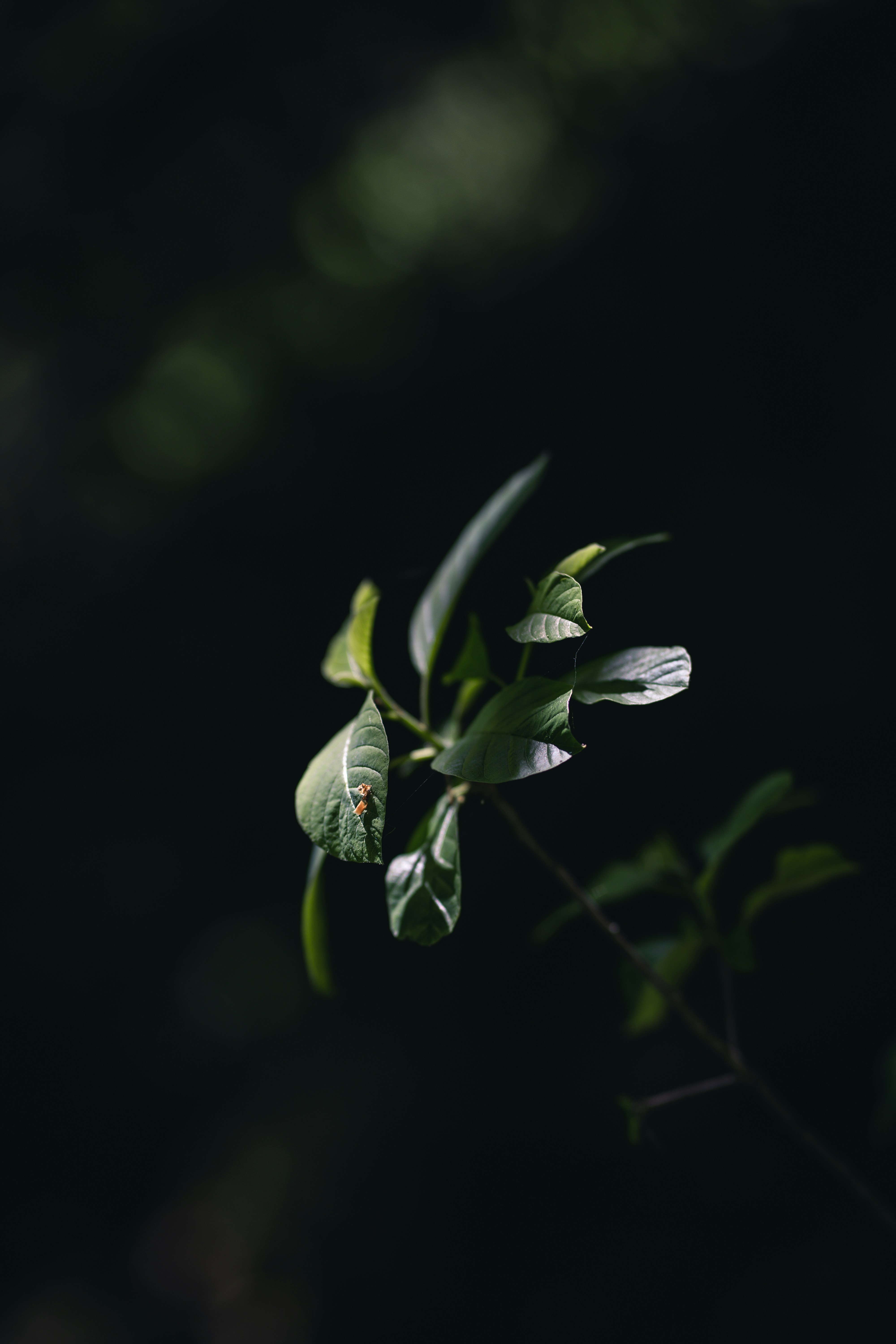 Photo by dominik_kempf