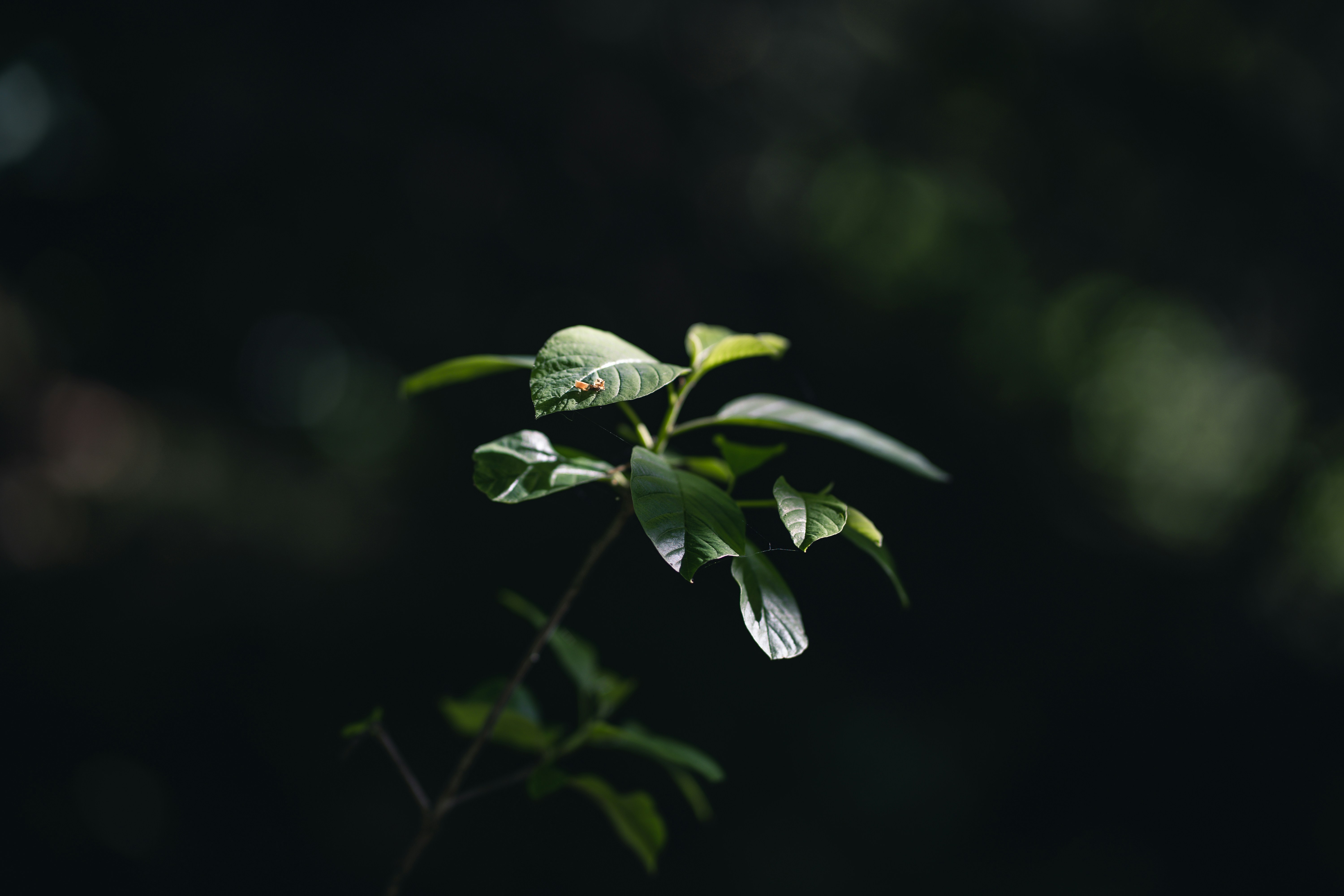 Photo by dominik_kempf