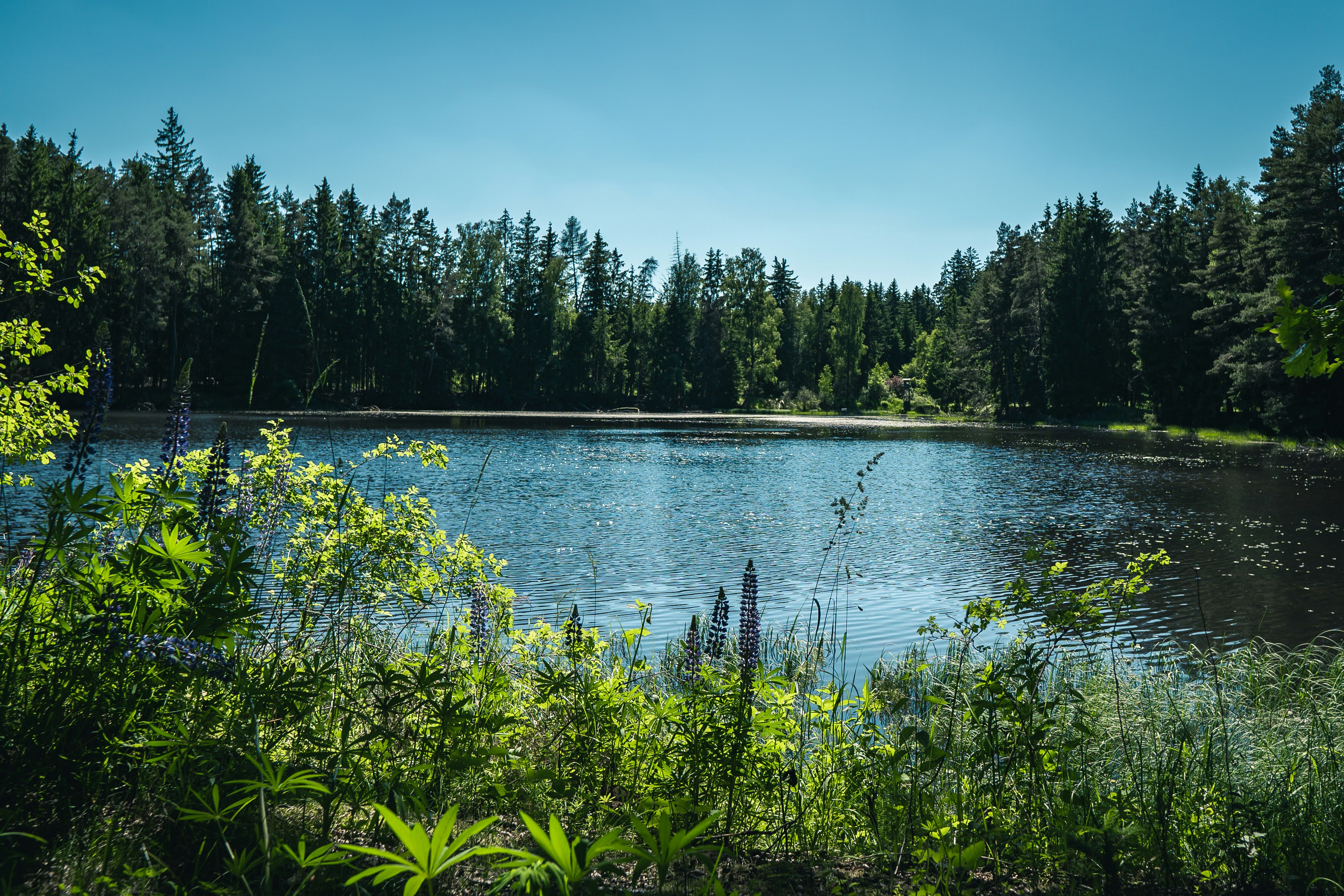 Photo by dominik_kempf