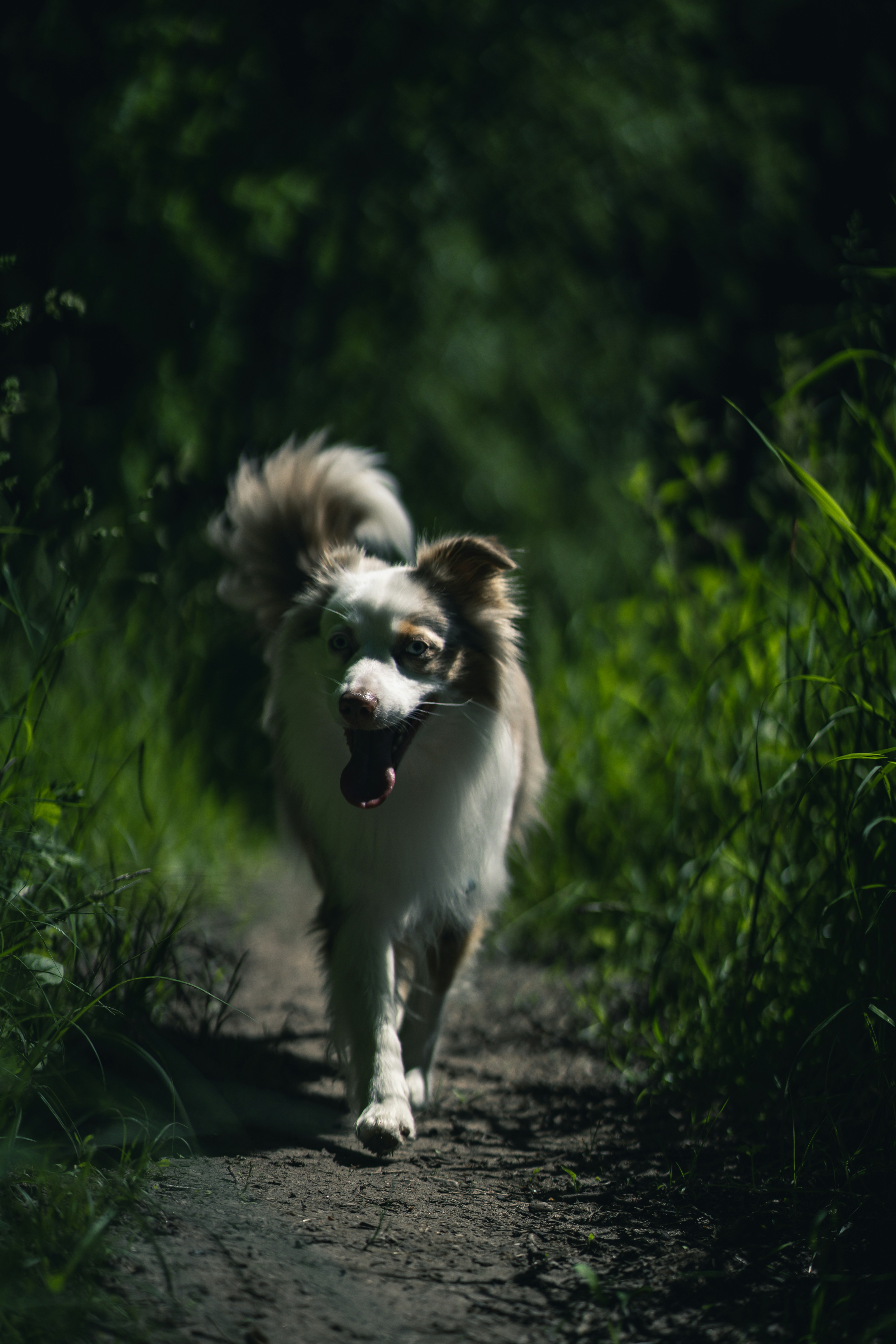 Photo by dominik_kempf