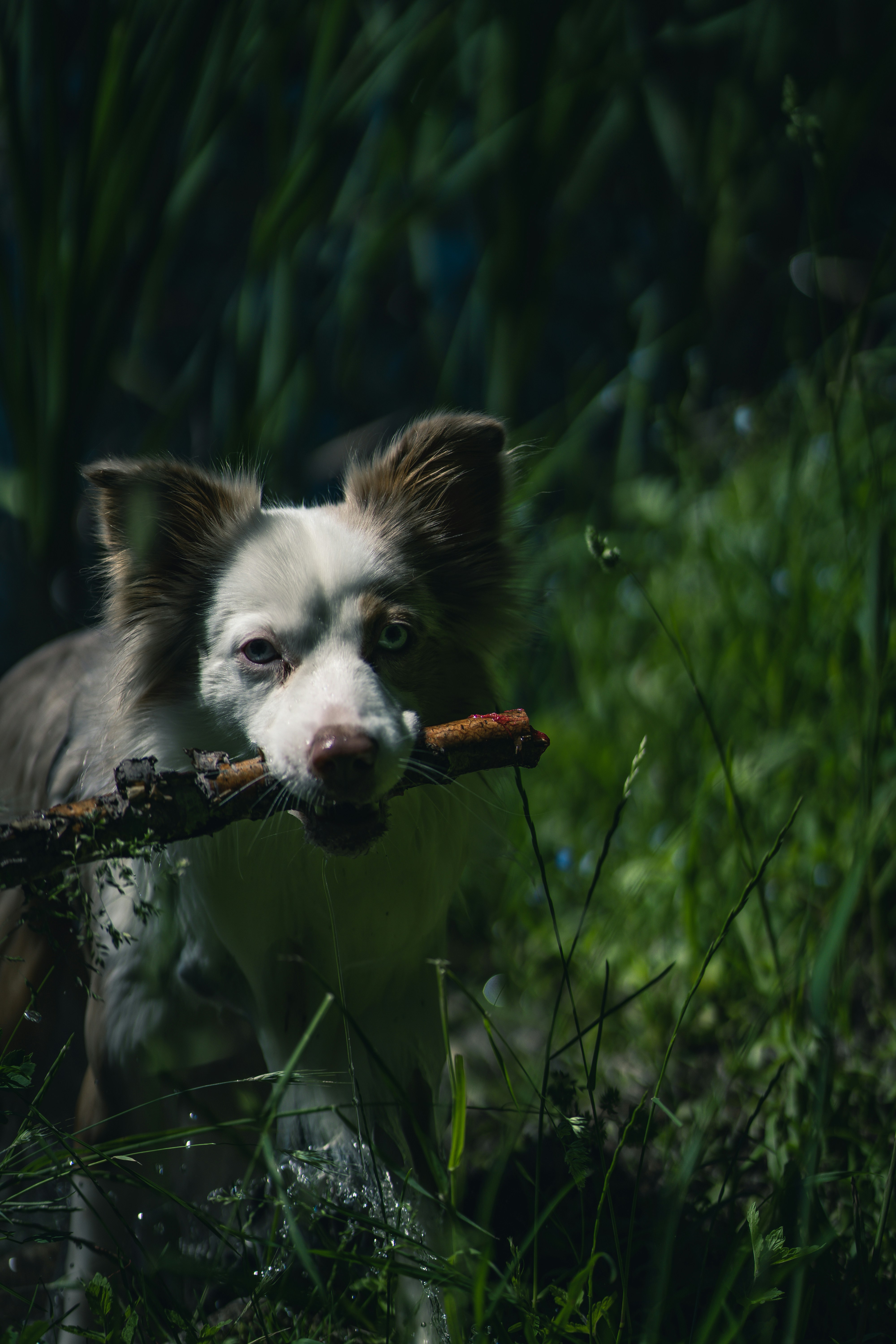 Photo by dominik_kempf