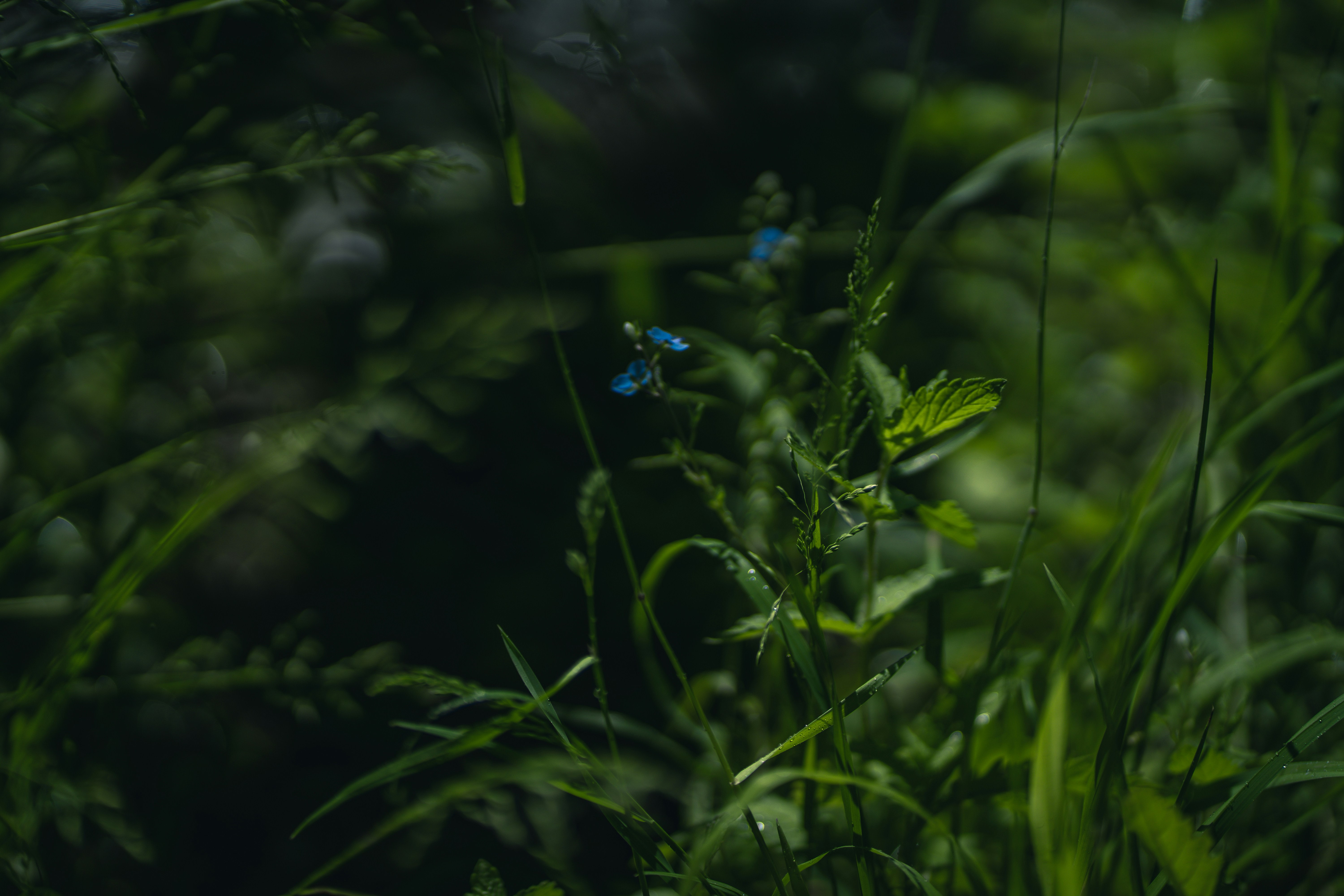 Photo by dominik_kempf