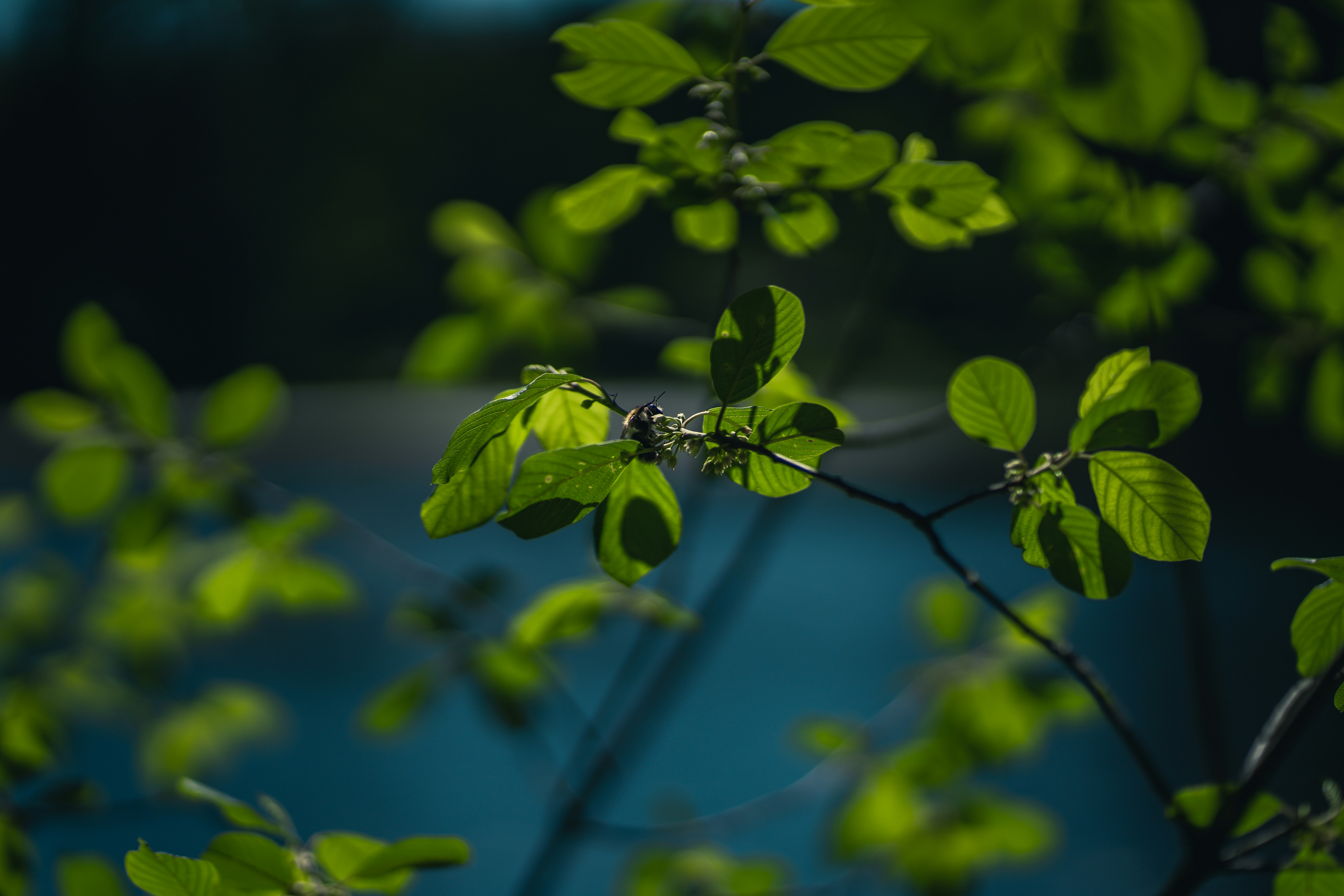 Photo by dominik_kempf