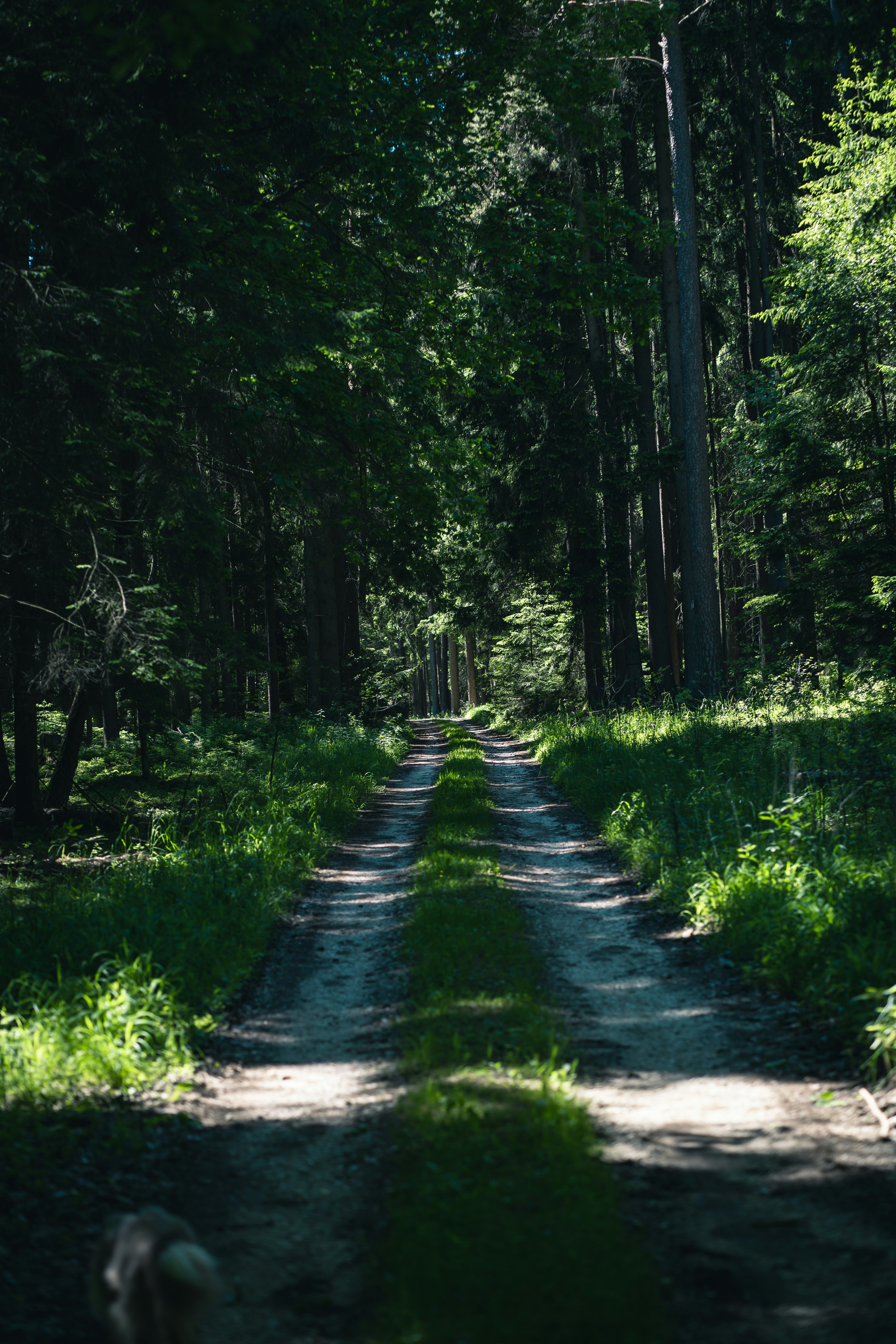 Photo by dominik_kempf