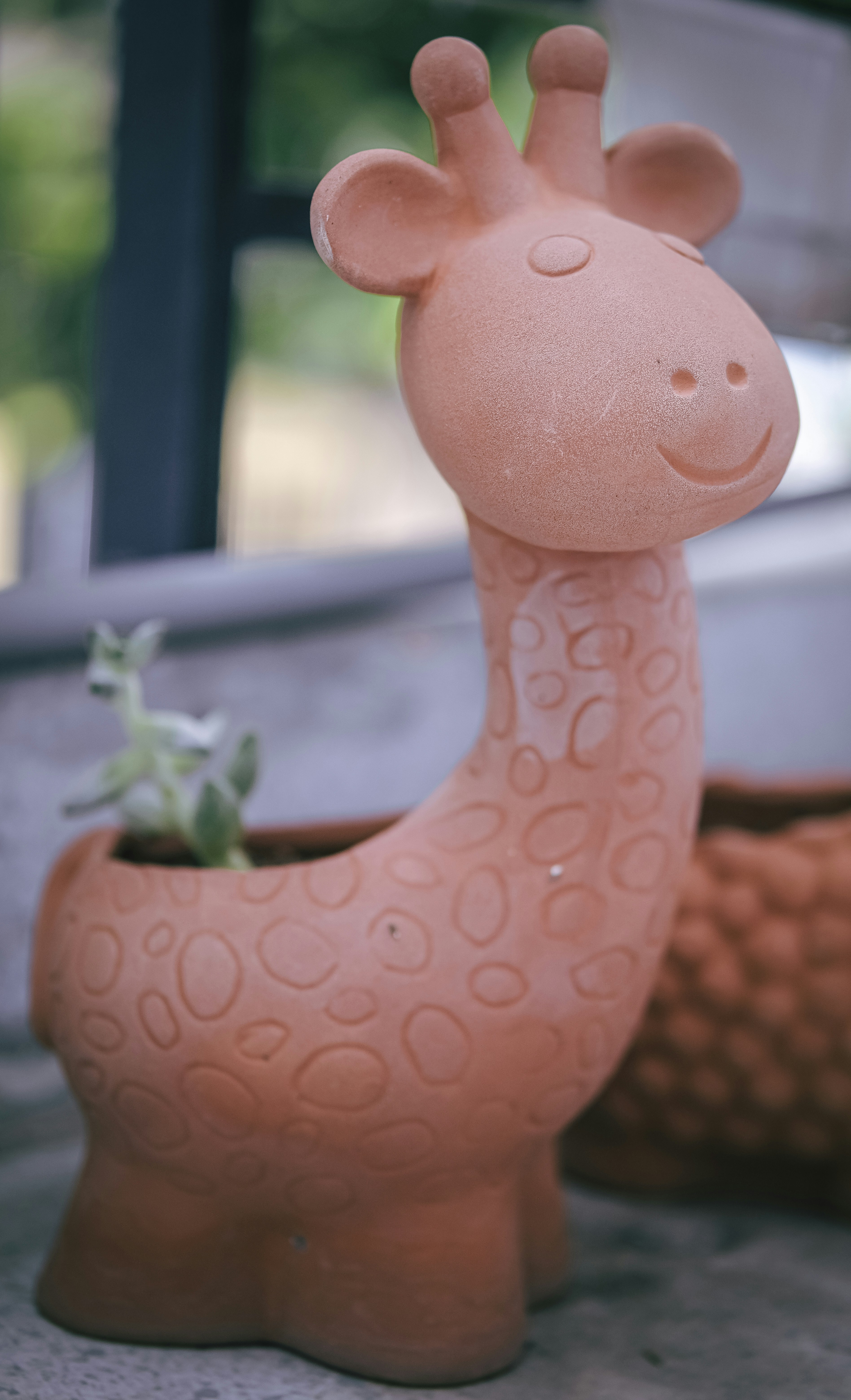 Photo by renichinguyen