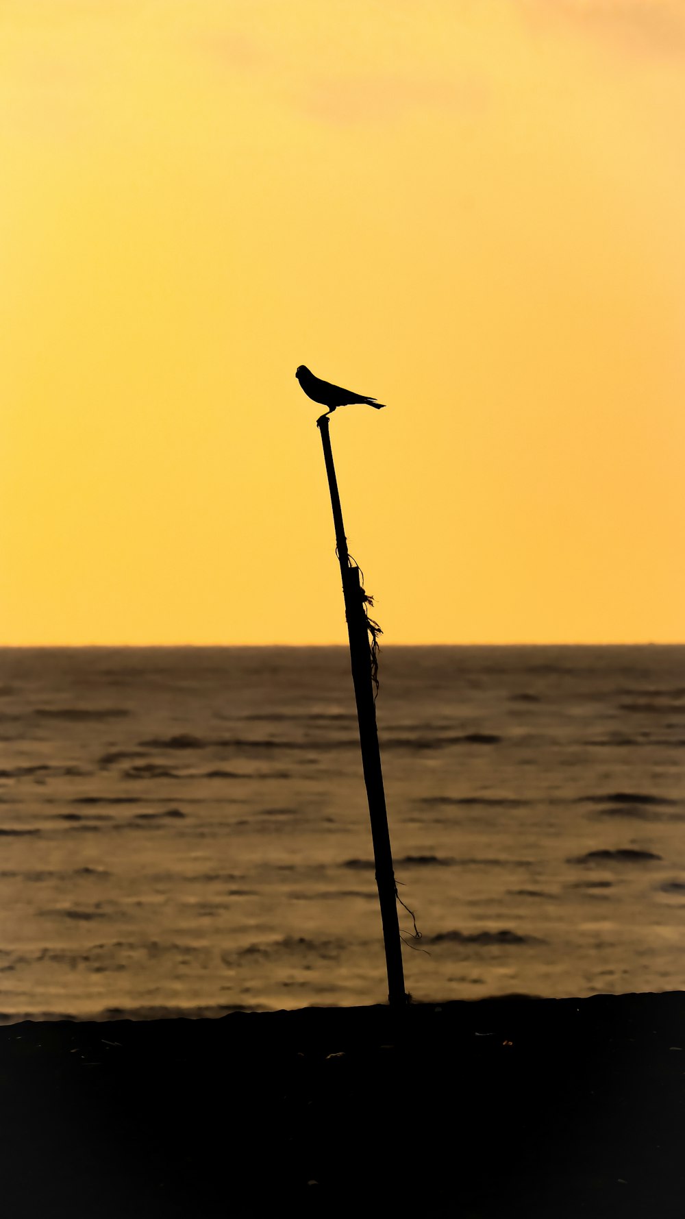 black metal pole near sea during daytime