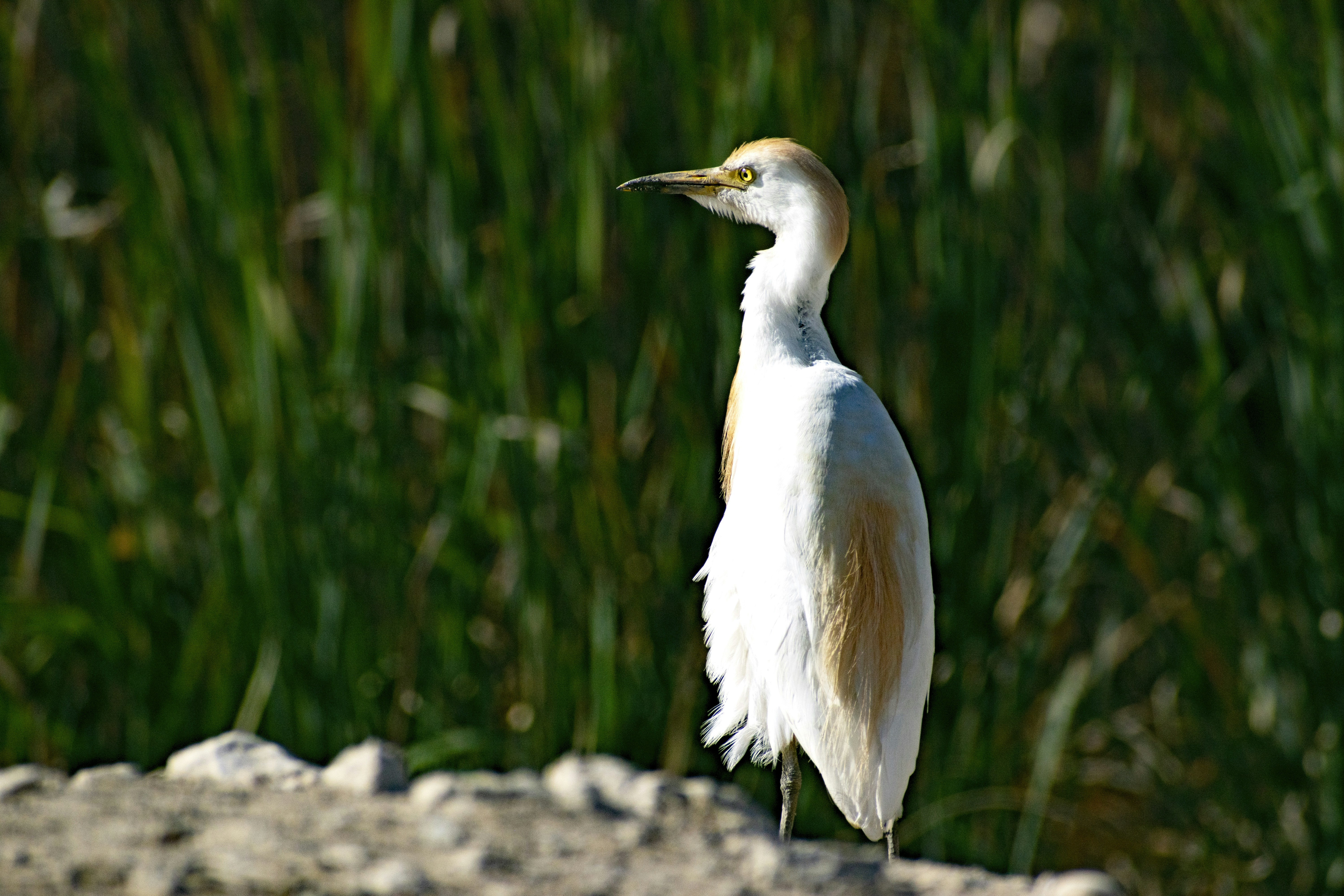 Photo by shirinsaleki