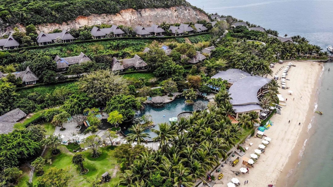 aerial view of green trees and body of water during daytime