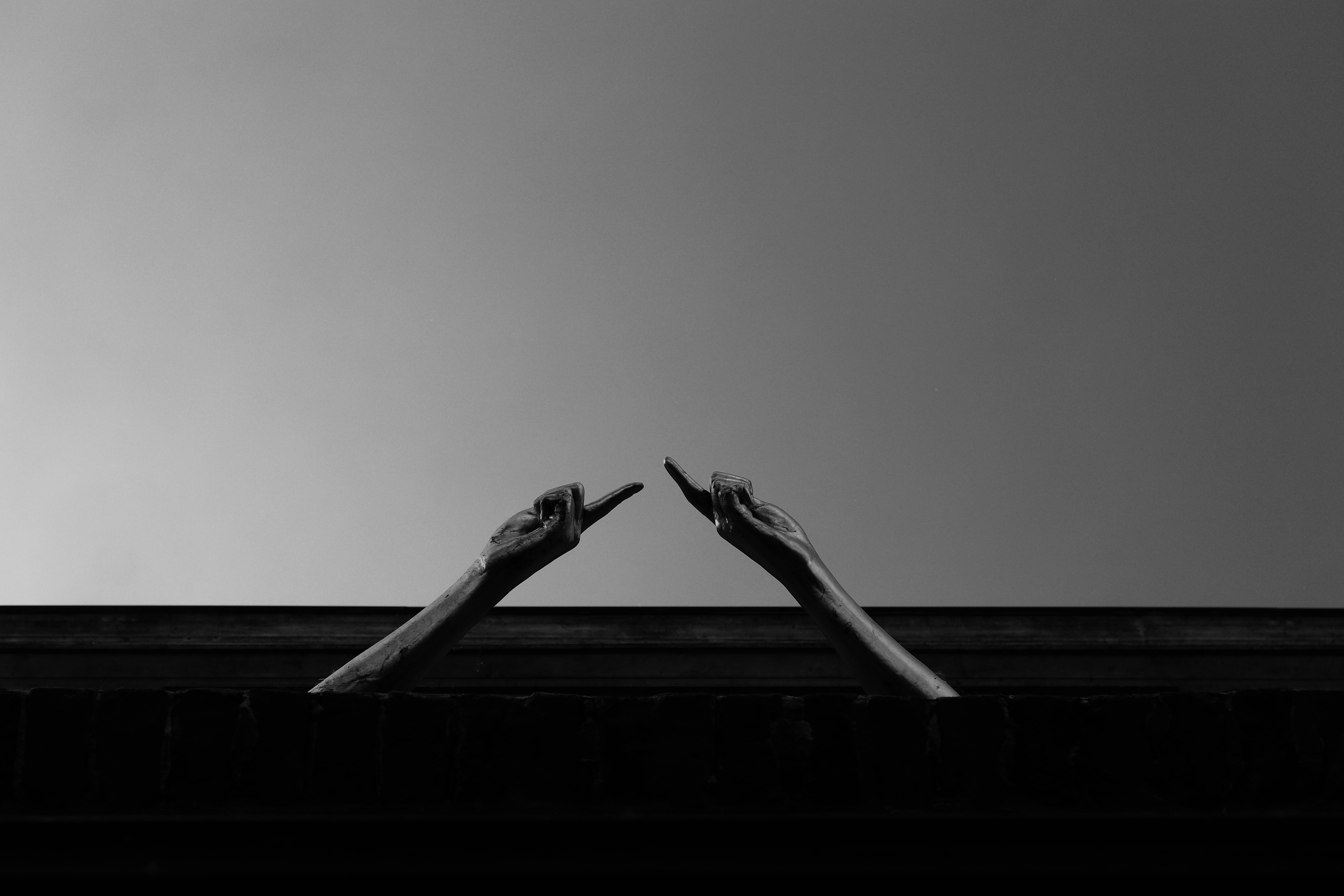 grayscale photo of a bird on a roof