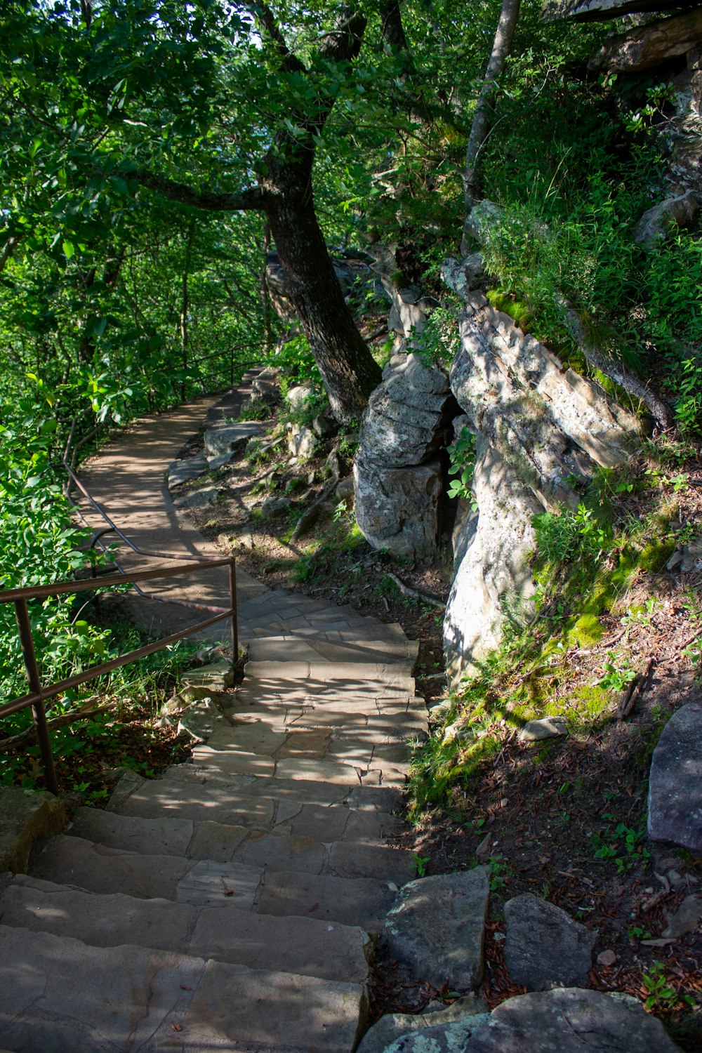 gray concrete stairs near green trees during daytime