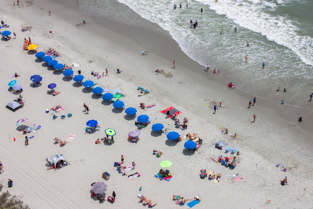 pessoas na praia durante o dia