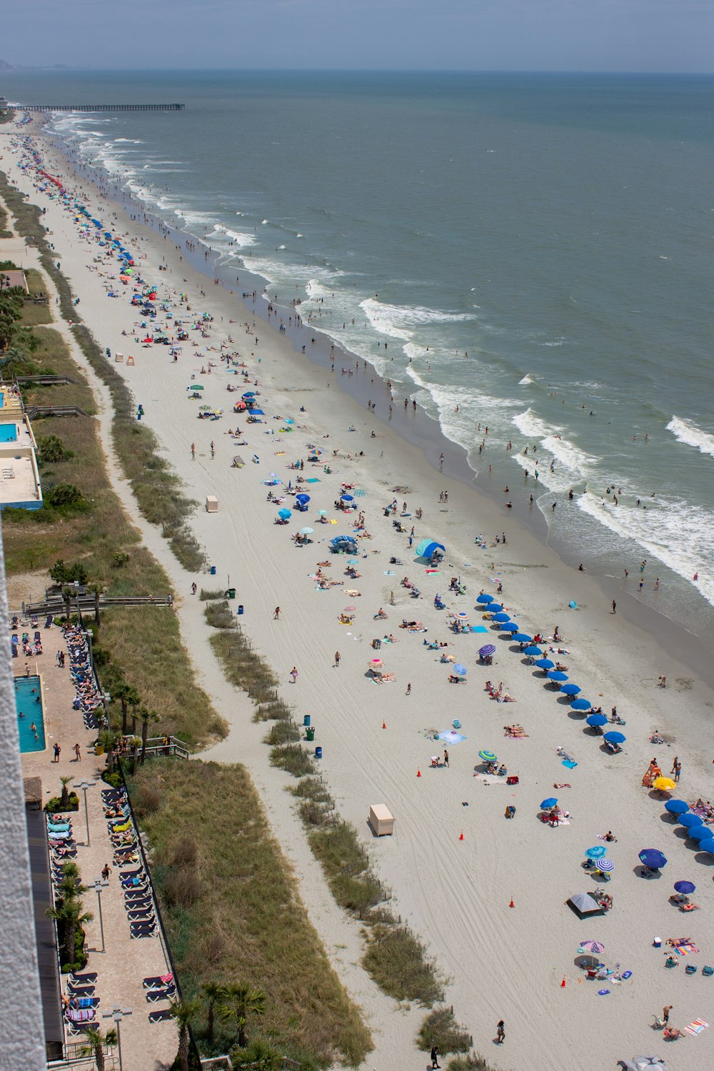 people on beach during daytime