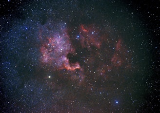 black and brown starry night