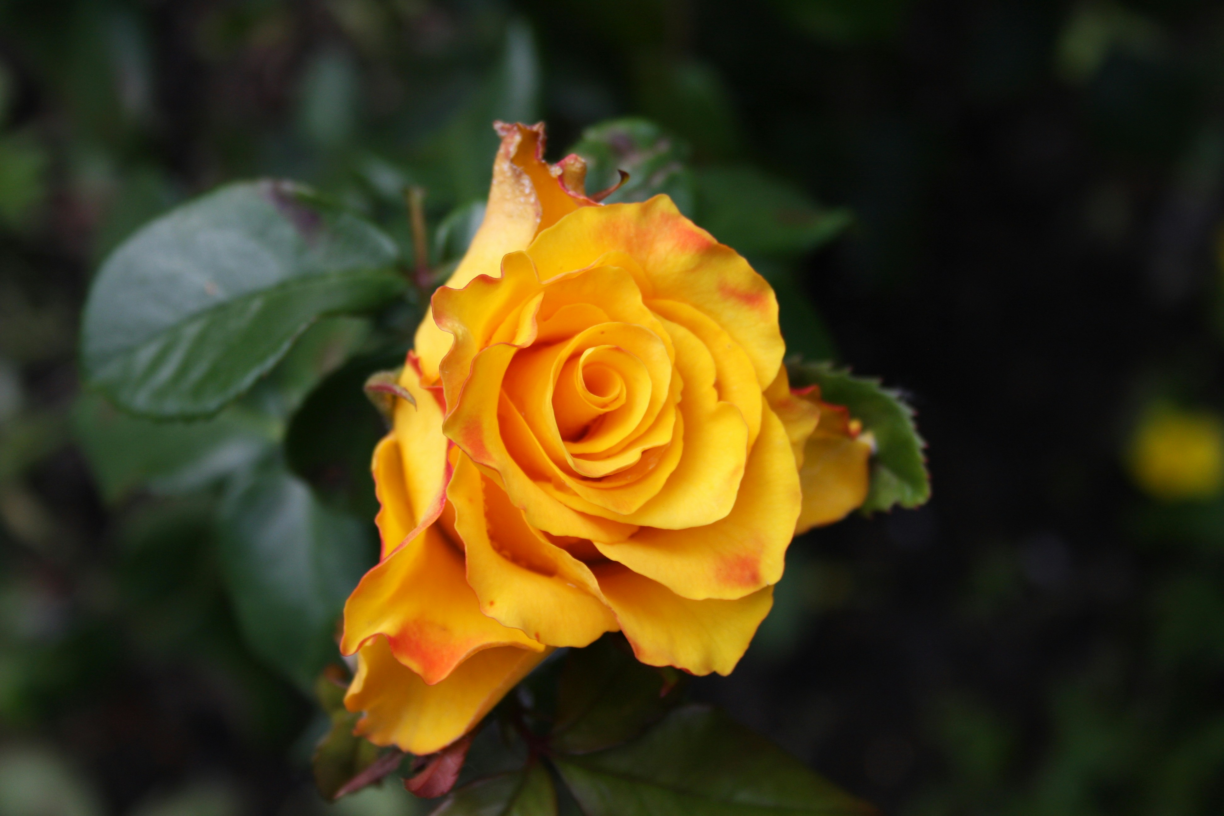 Photo by kira_cherkavskaya