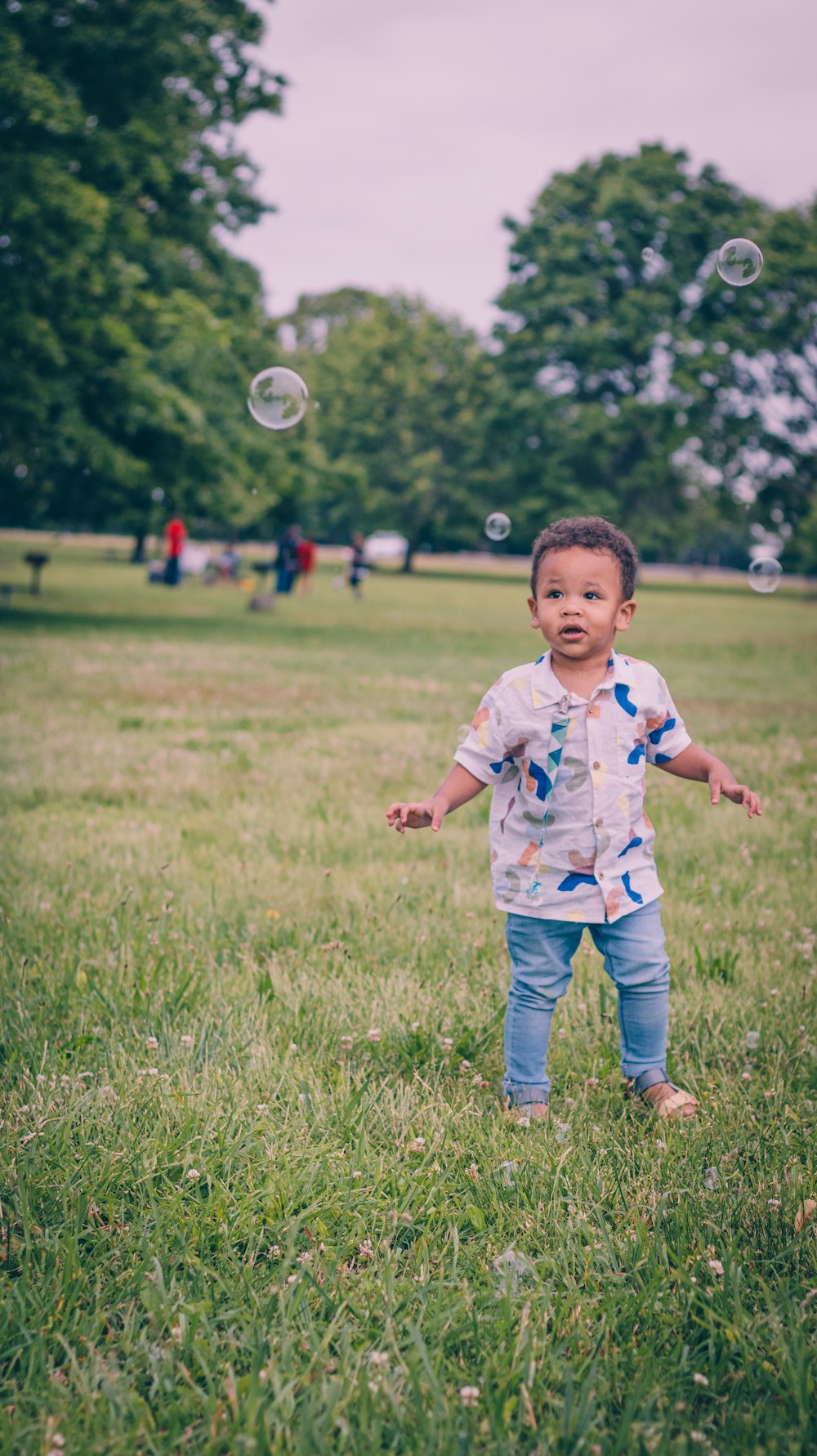 boy in blue and white shirt and blue denim jeans standing on green grass field during