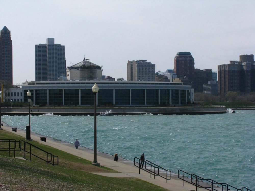 people walking on green grass field near body of water during daytime