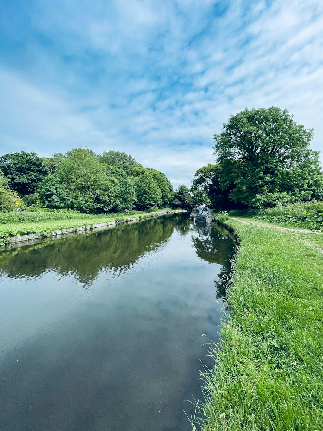 green grass field beside river under blue sky during daytime