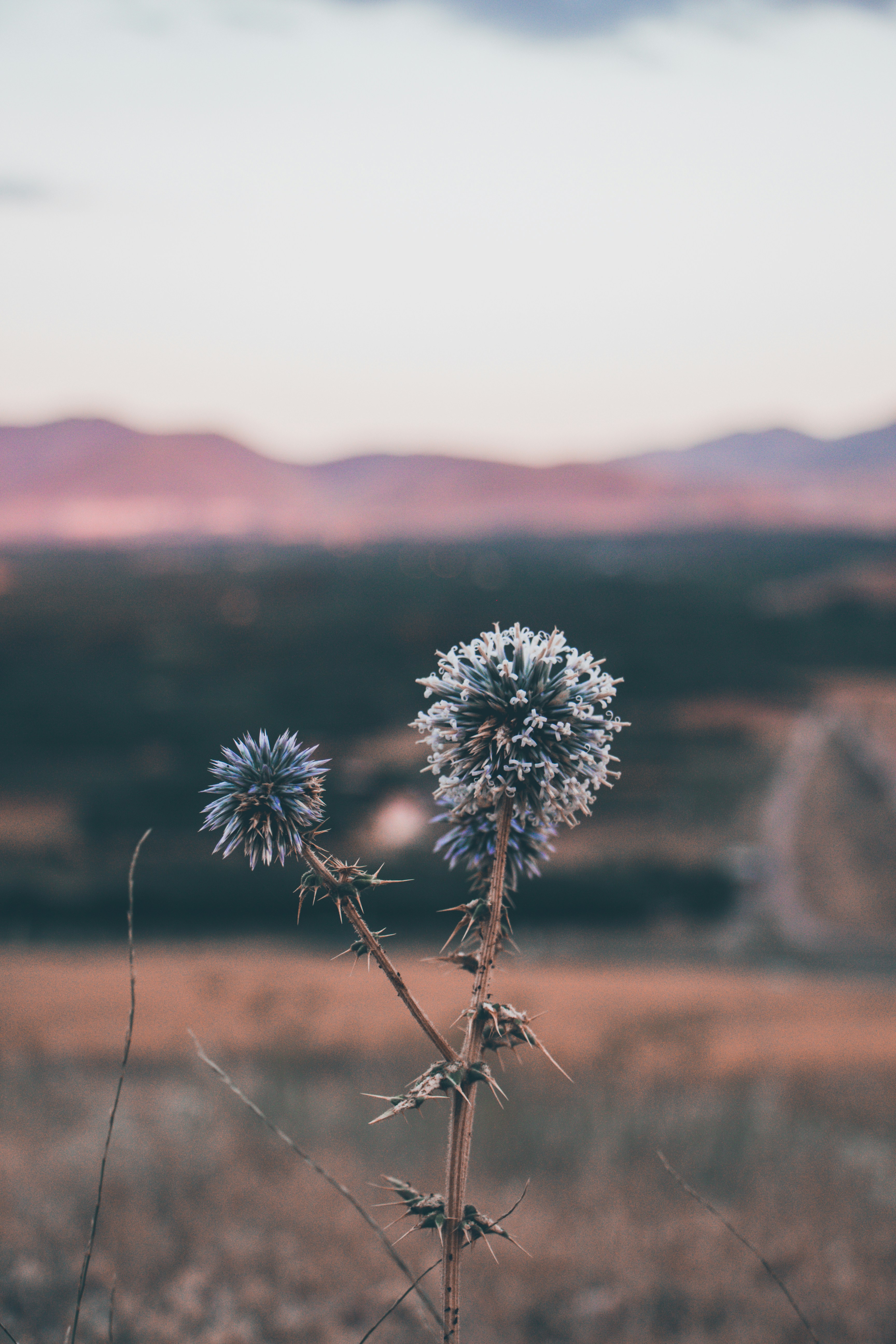 Photo by arya_beikzadeh