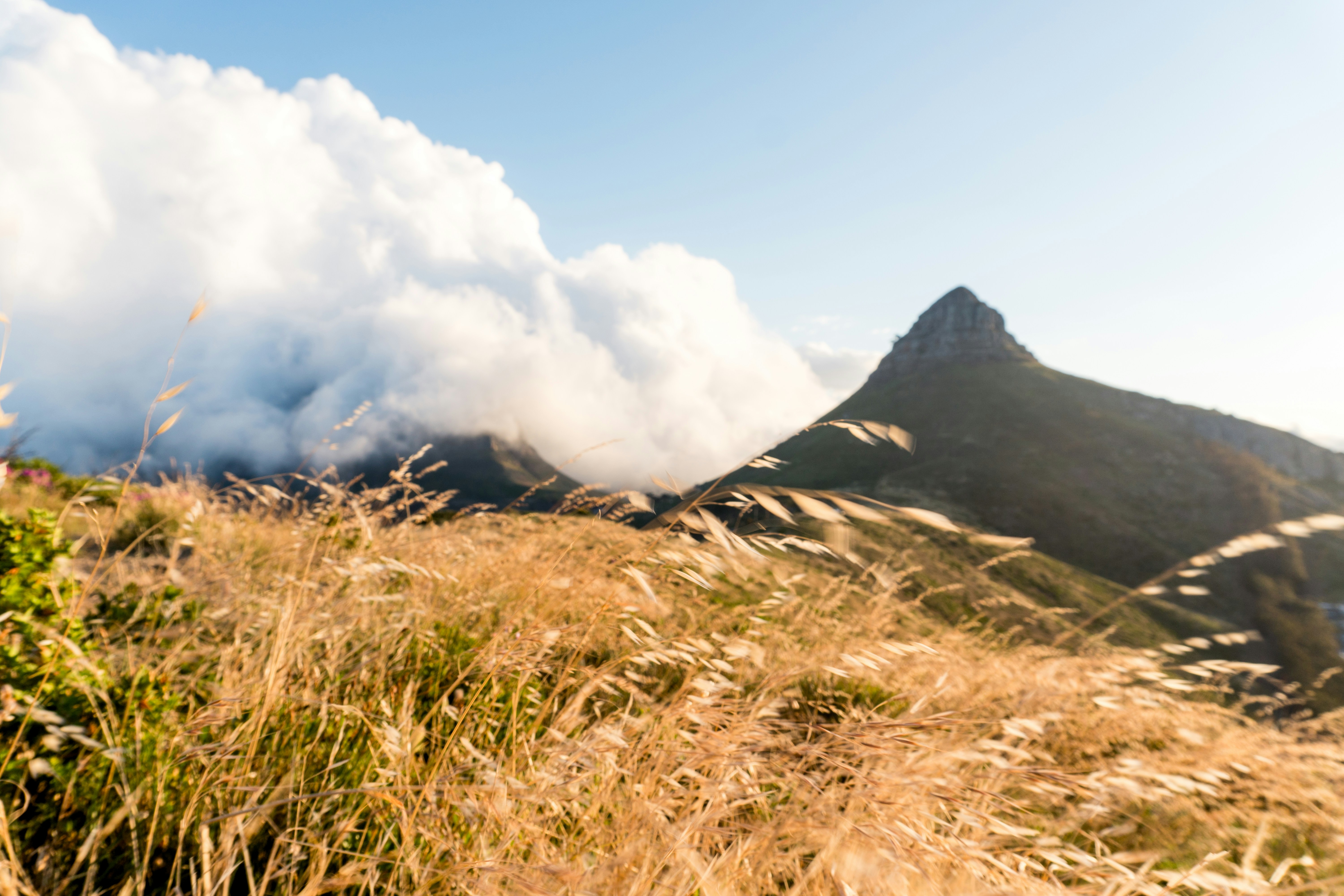 Photo by stephenjamesrheeder