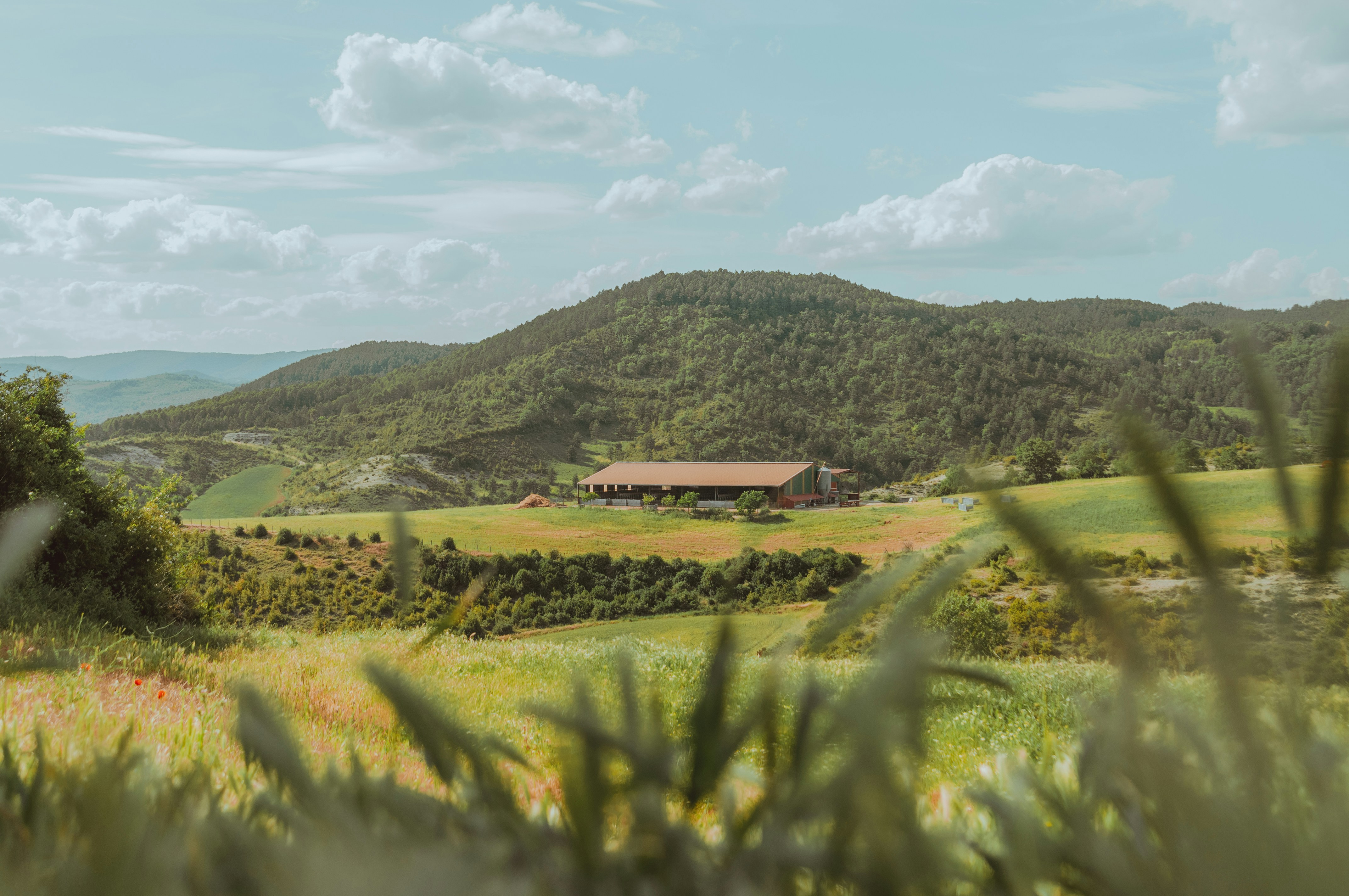 Photo by miguelarguibide