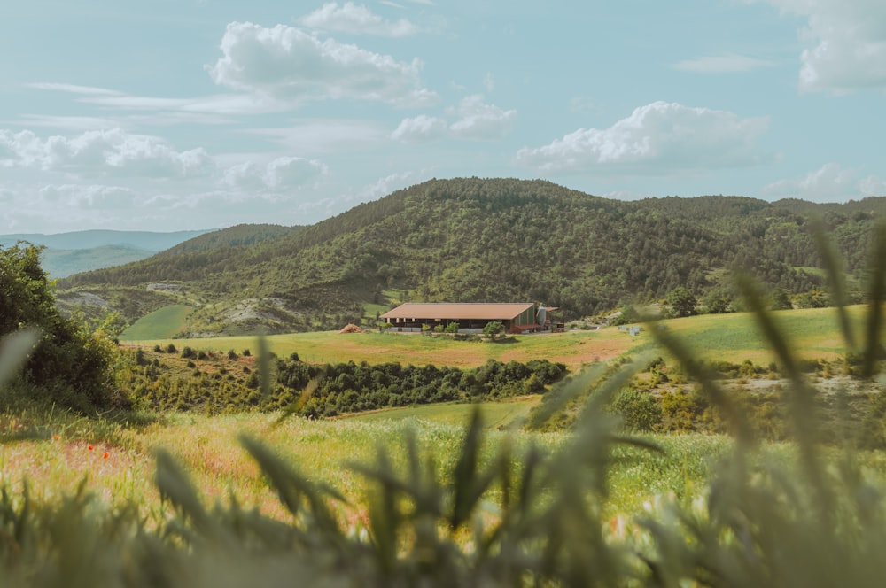 green grass field near mountain during daytime