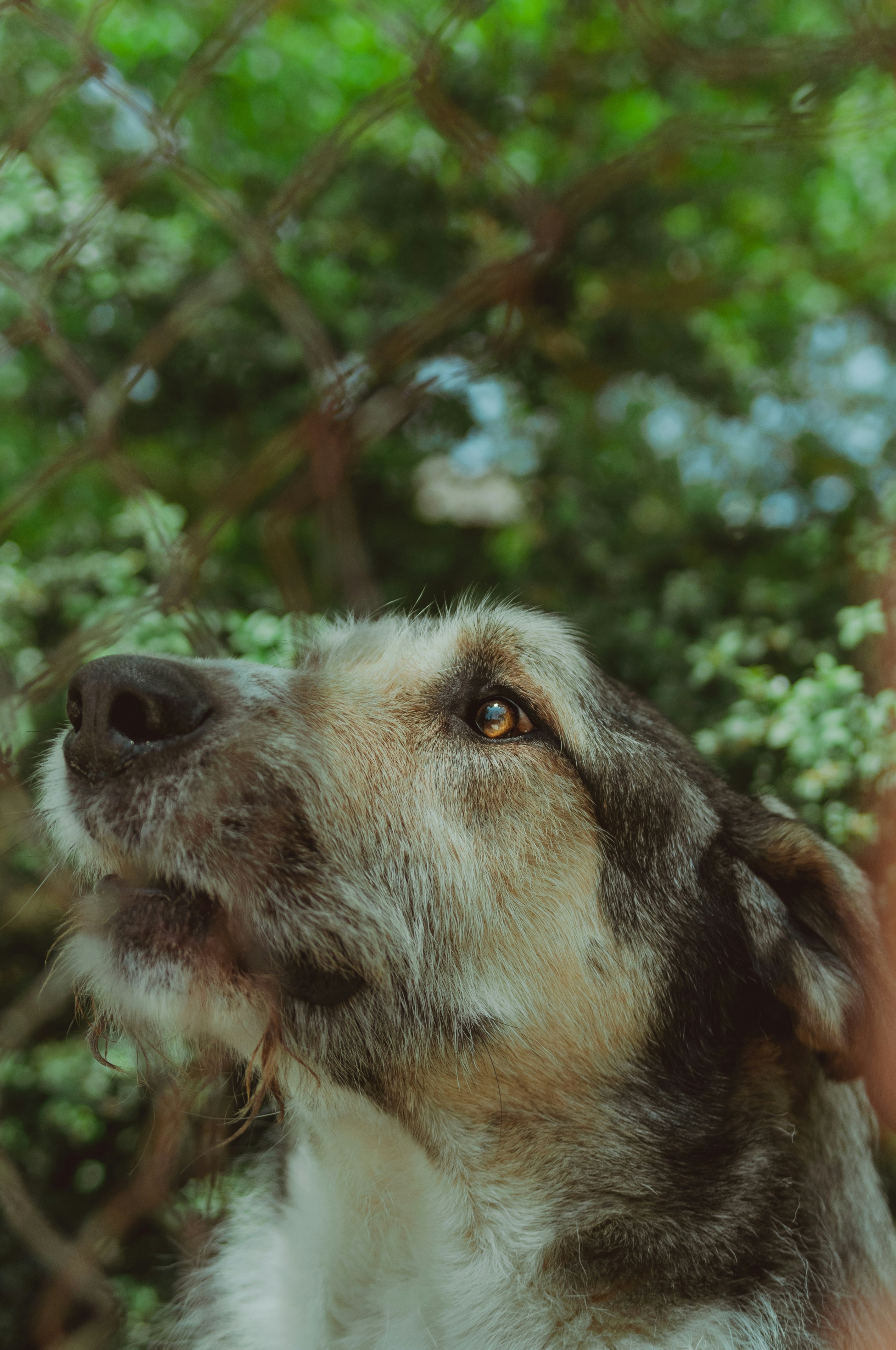 Photo by miguelarguibide