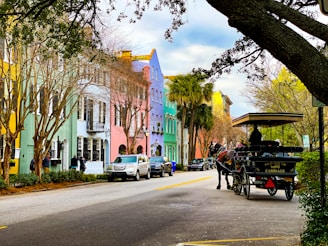people riding on carriage on road ined with colorful homes in South Carolina during daytime