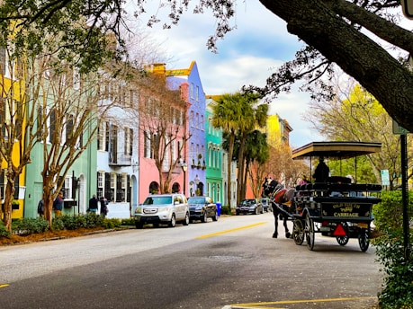 people riding on carriage on road ined with colorful homes in South Carolina during daytime