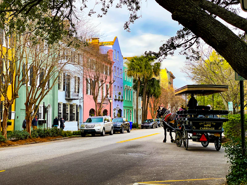 Horse-drawn carriage on a Charleston street