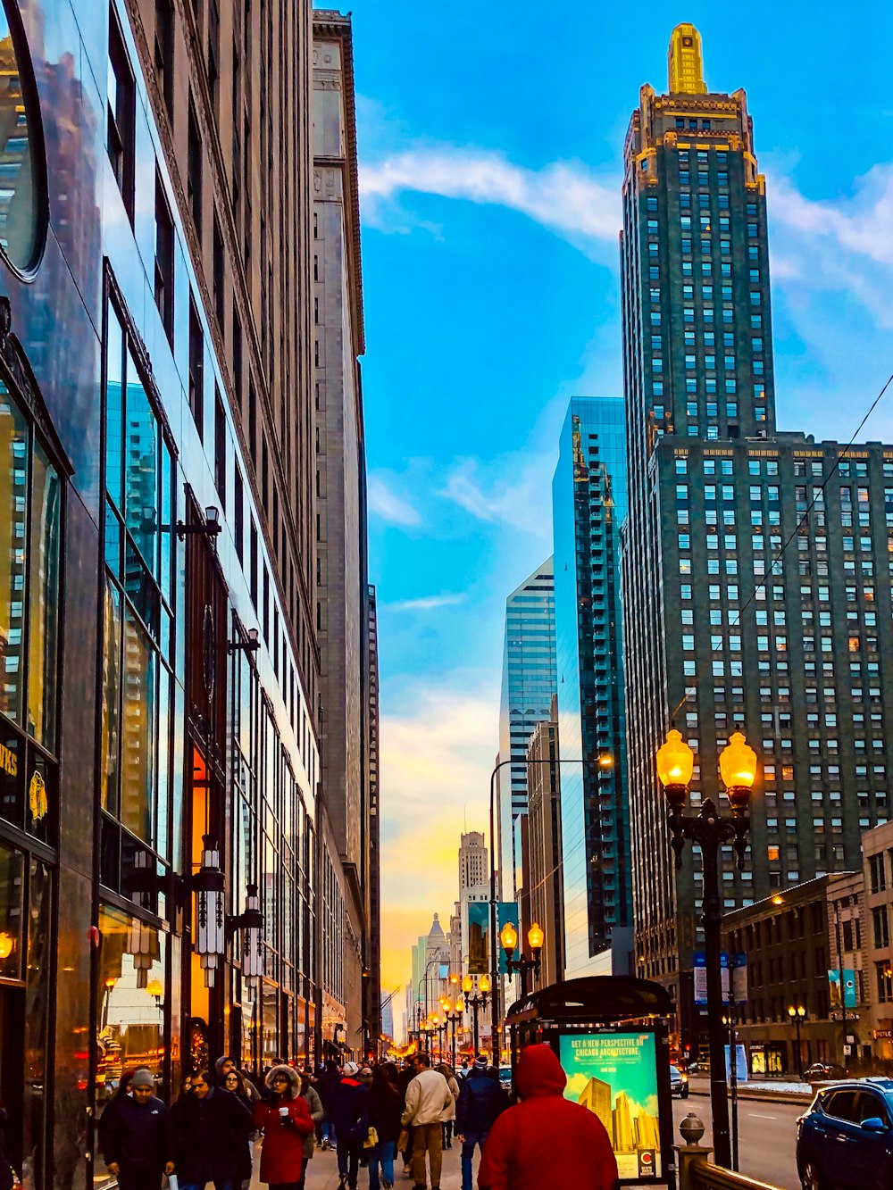 cars on road between high rise buildings during daytime