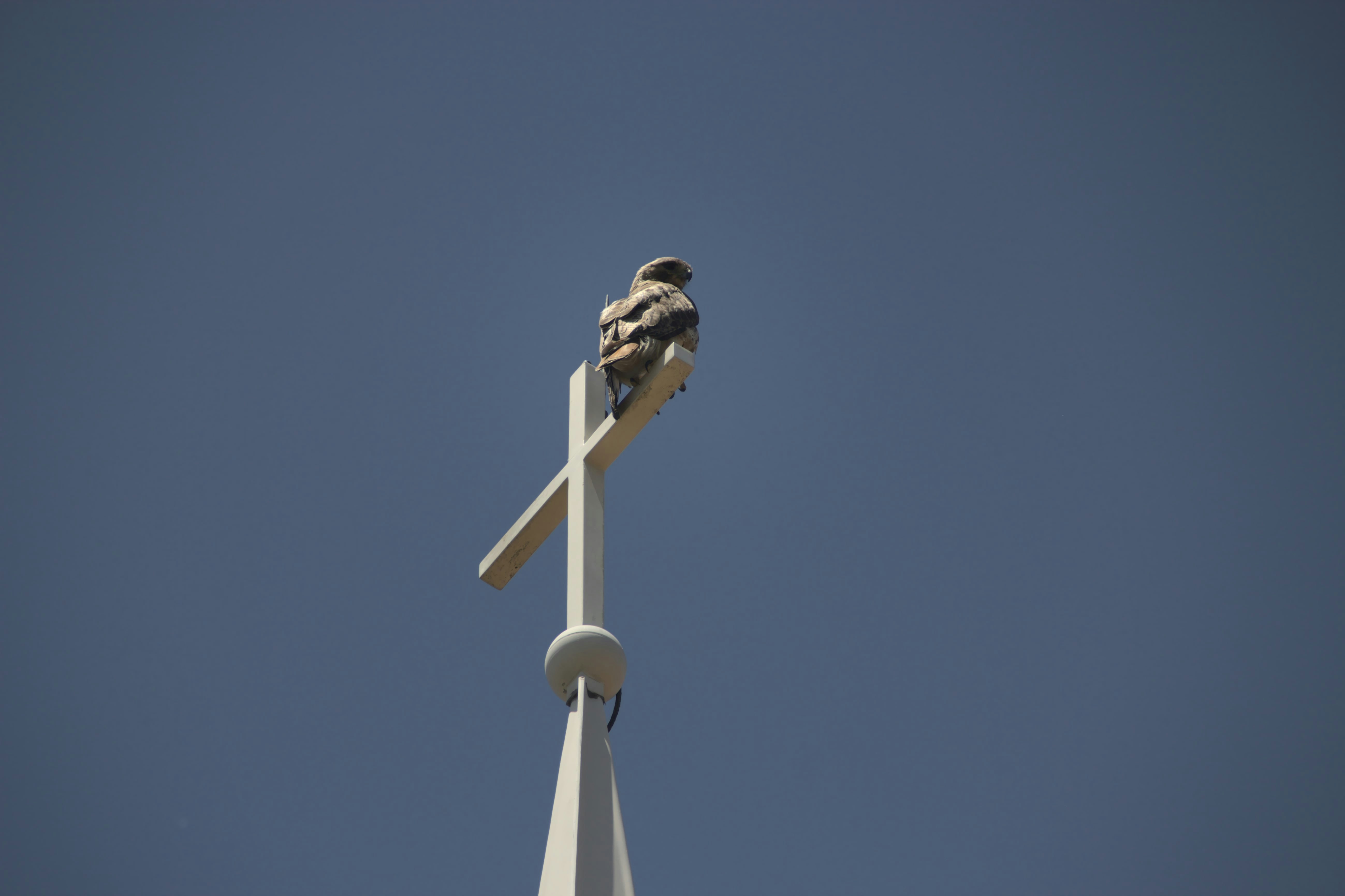 Photo by mrgreatheart