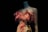 A mannequin stands against a dark background, showcasing a garment adorned with pink feathers and intricate floral designs. The lighting highlights the texture and colors of the fabric, creating a striking contrast between the luminous dress and the shadowy surroundings.