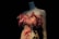 A mannequin stands against a dark background, showcasing a garment adorned with pink feathers and intricate floral designs. The lighting highlights the texture and colors of the fabric, creating a striking contrast between the luminous dress and the shadowy surroundings.